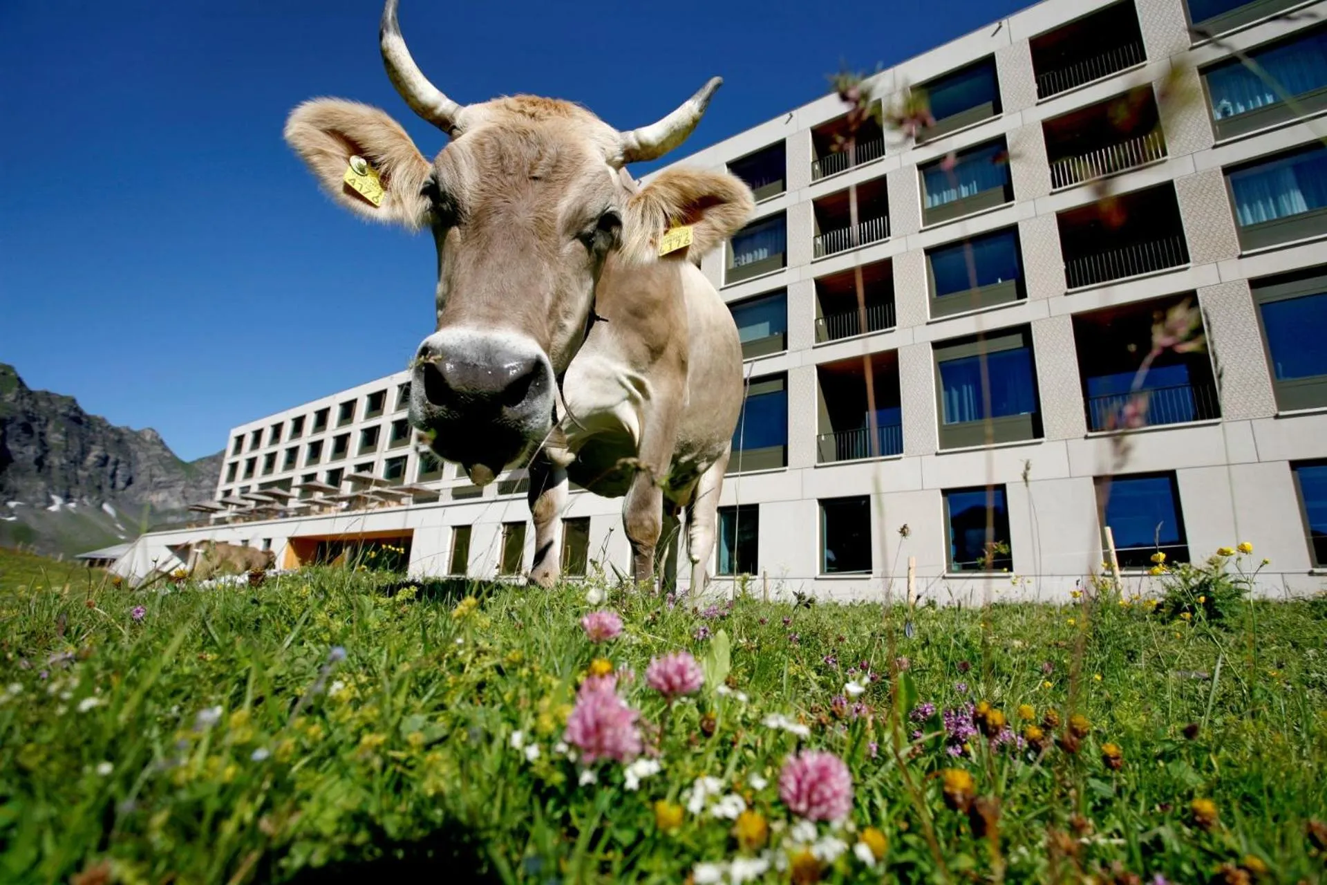 Property building in Frutt Mountain Resort