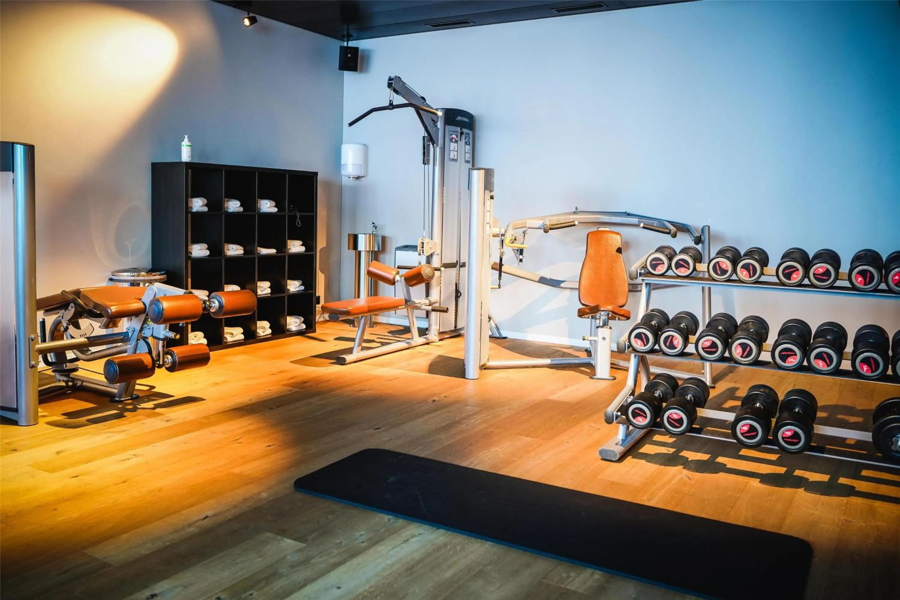 Fitness centre/facilities in Frutt Mountain Resort