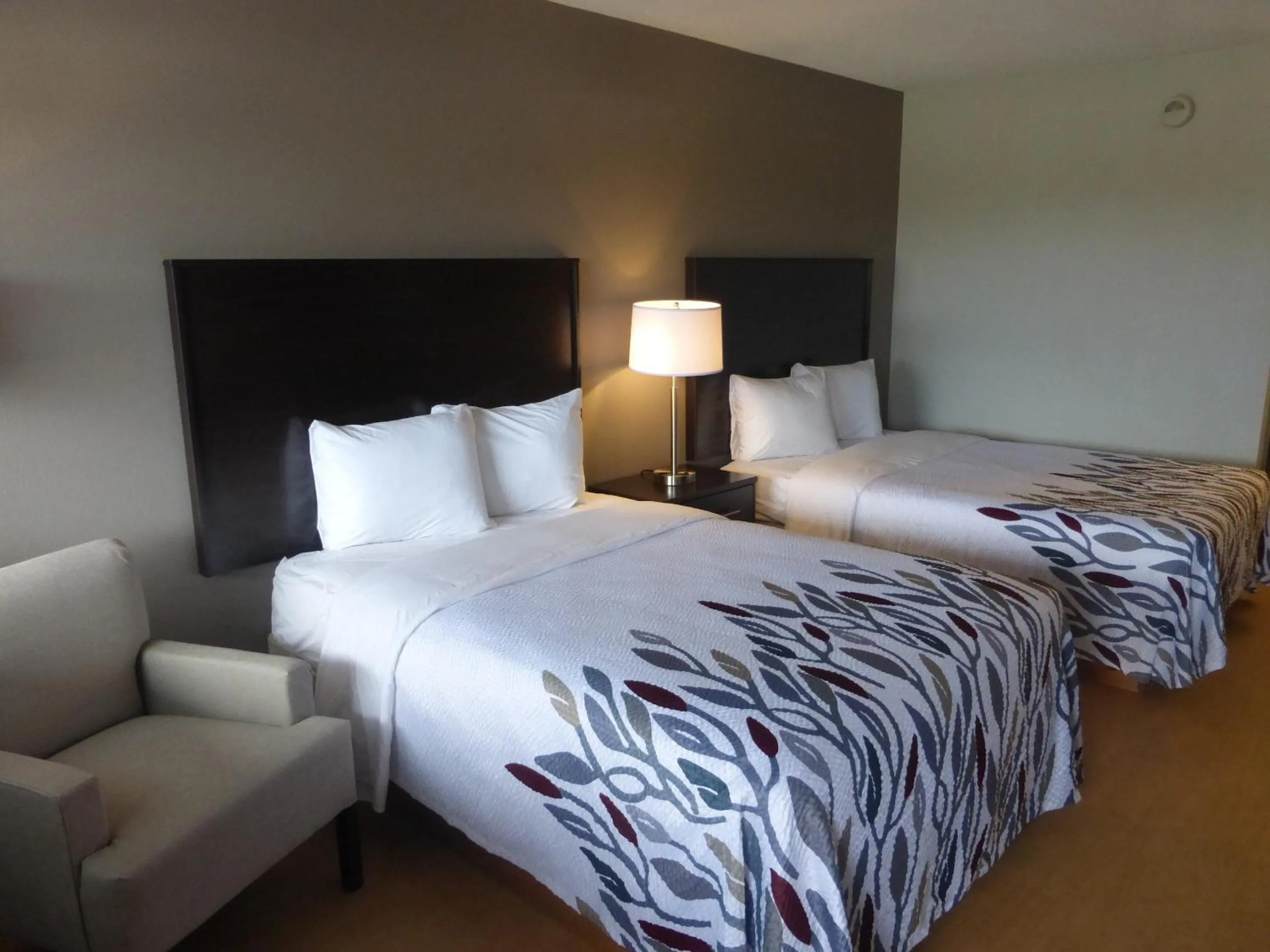 Photo of the whole room, Bed in Red Roof Inn Somerset, PA