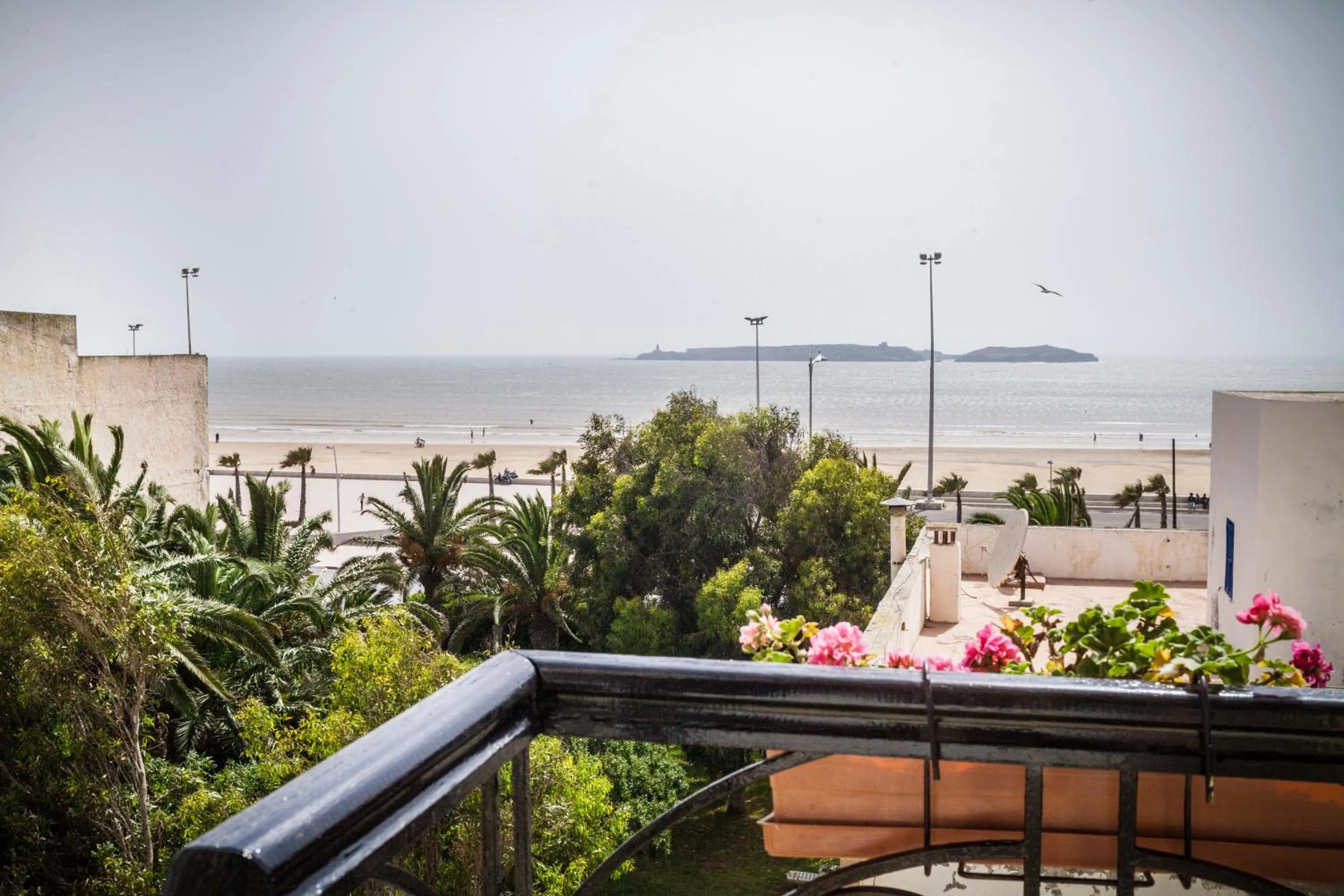 Day in Résidence Louzani