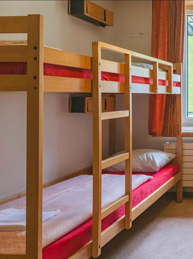 Bedroom, Bed in Davos Youth Hostel