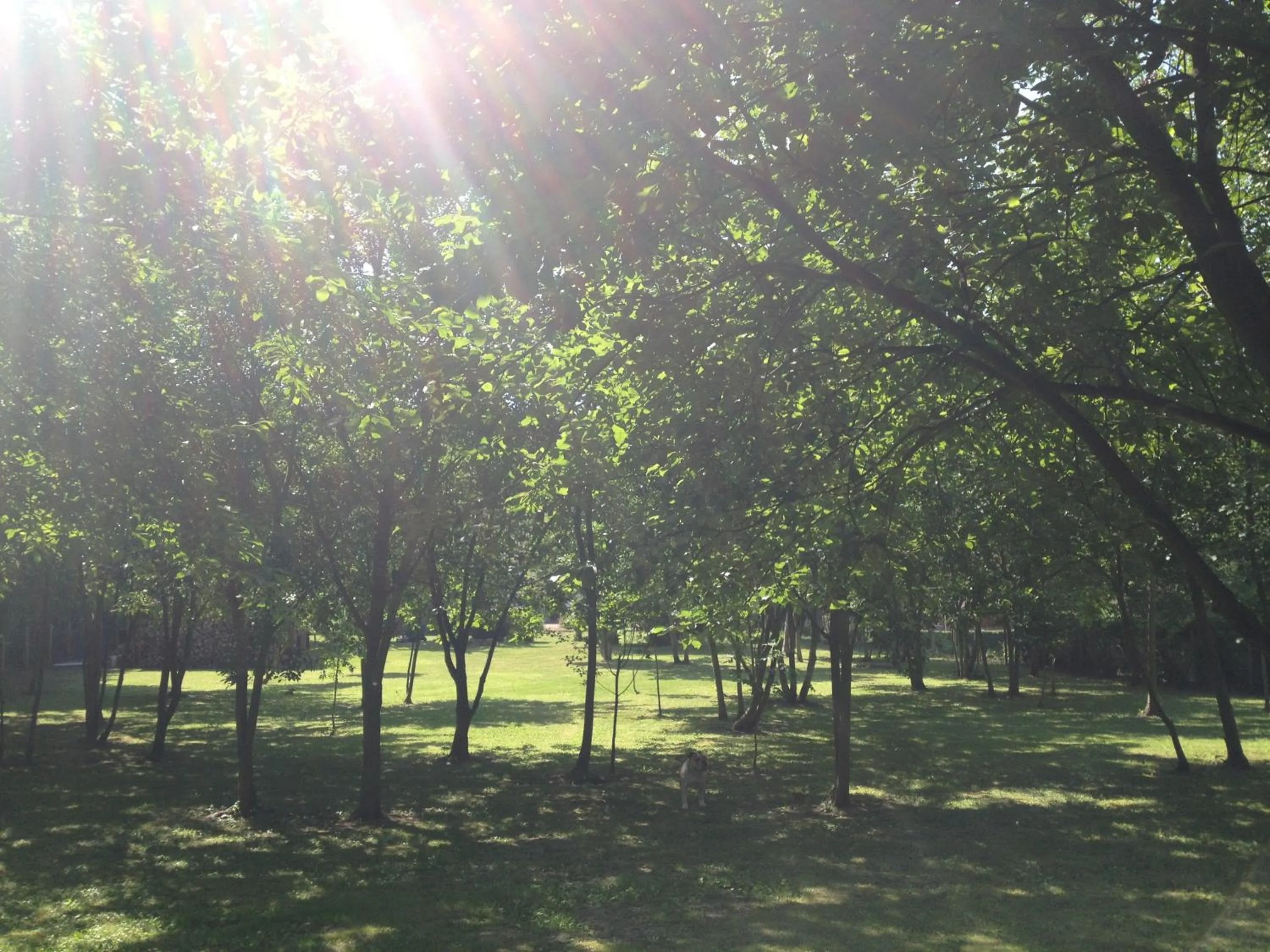 Garden in Greenfield Chambres d'Hôtes