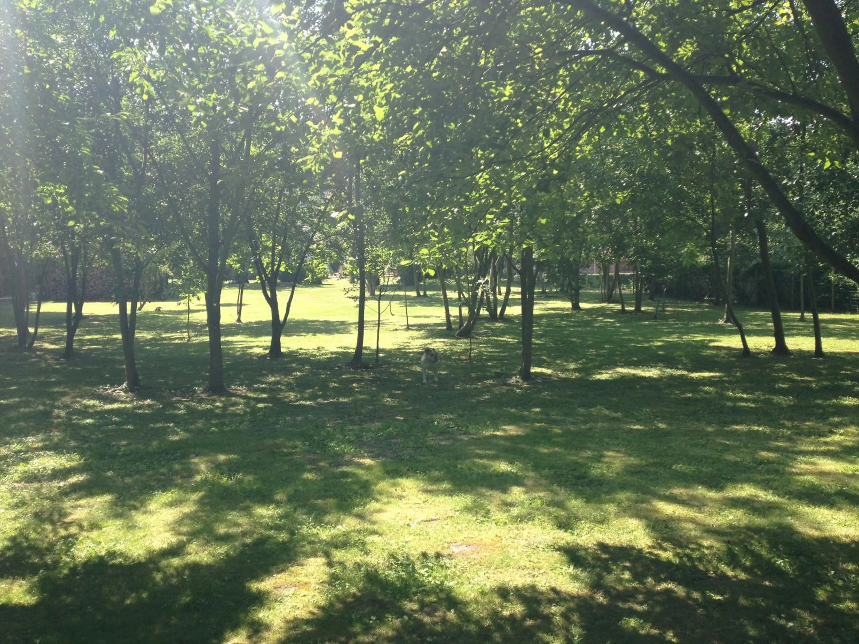 Garden in Greenfield Chambres d'Hôtes