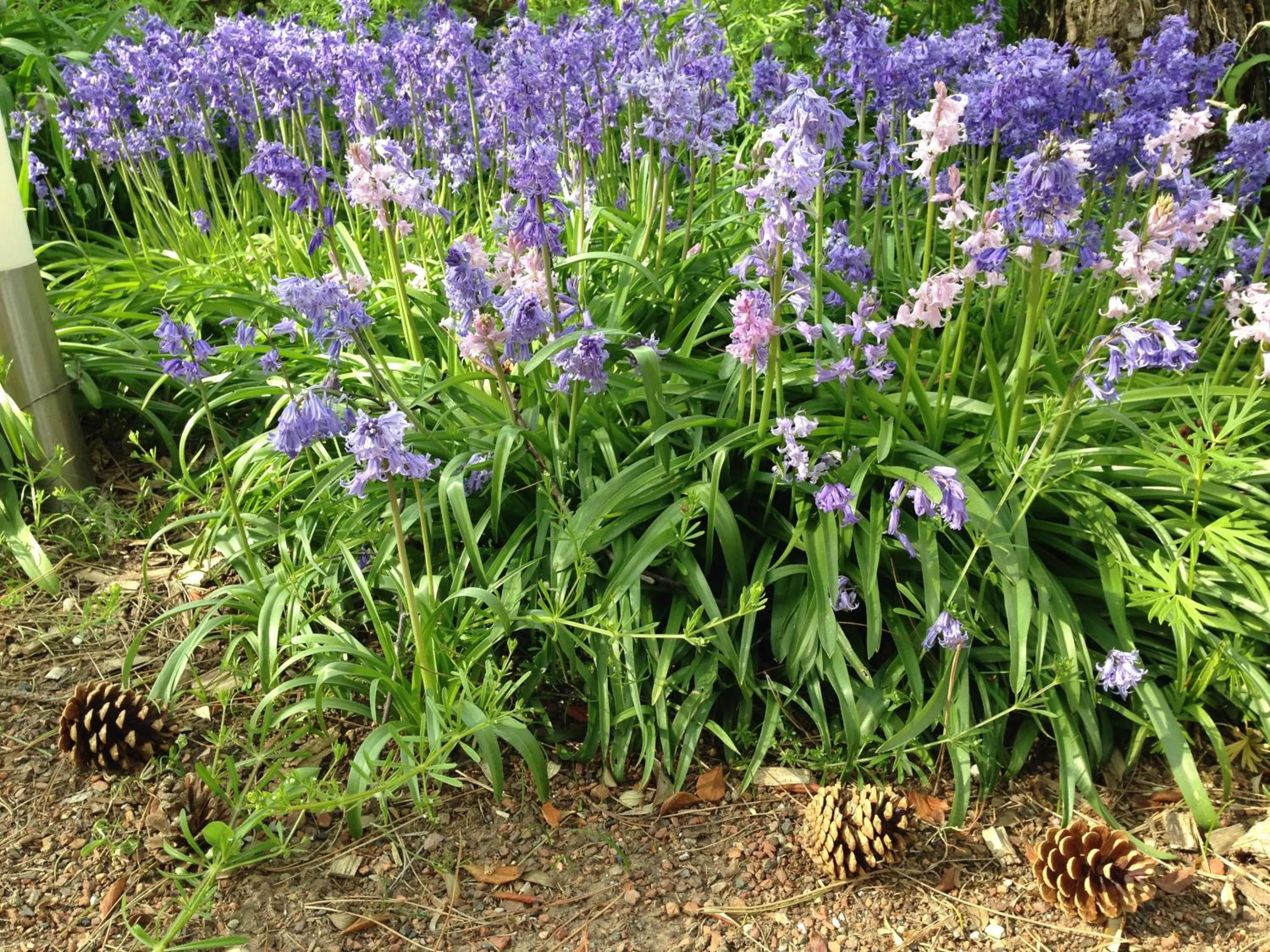Decorative detail in Greenfield Chambres d'Hôtes
