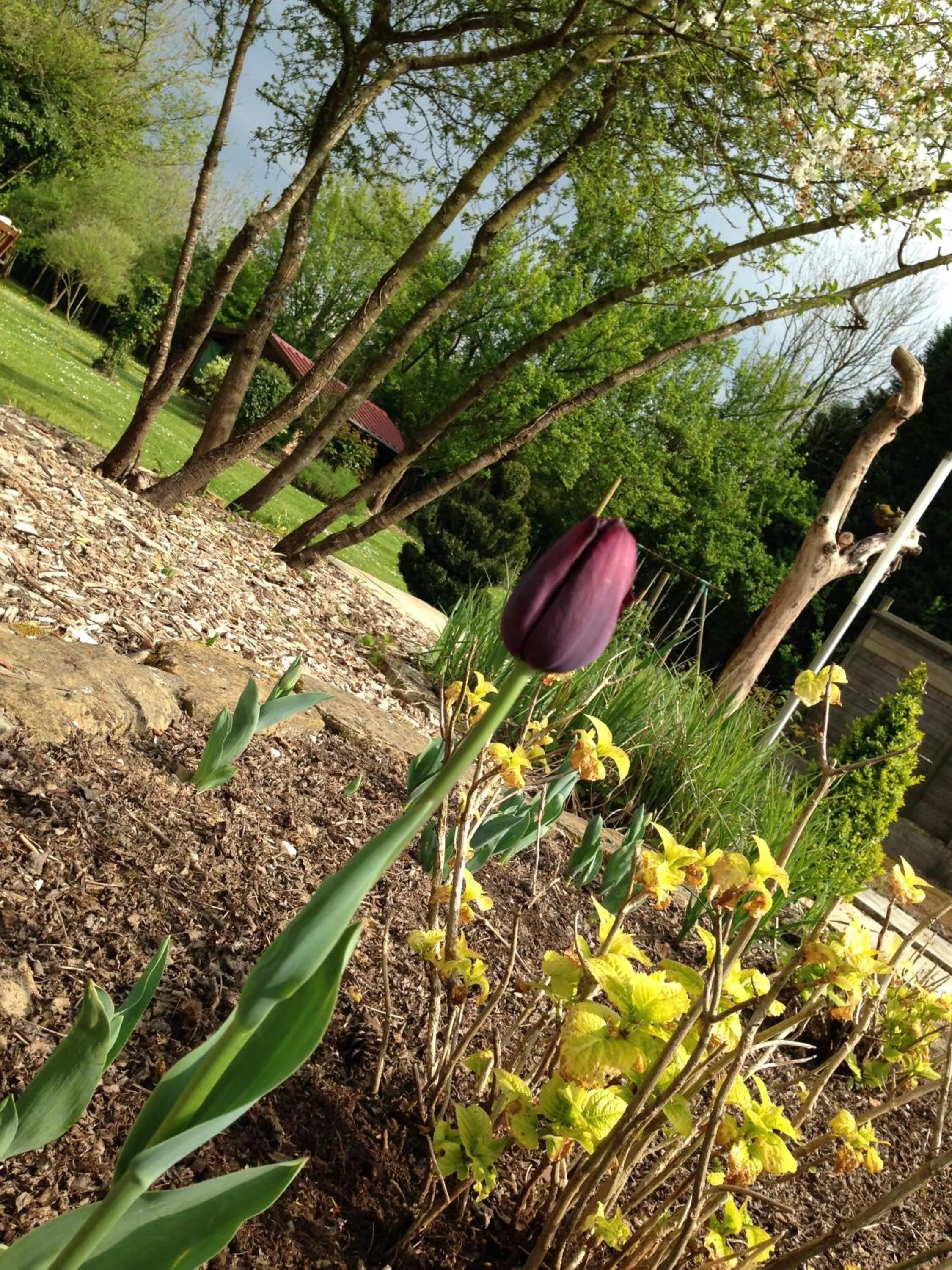 Spring in Greenfield Chambres d'Hôtes