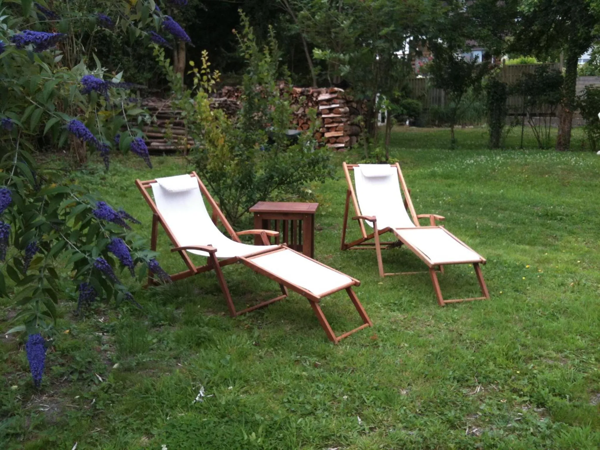 Natural landscape in Greenfield Chambres d'Hôtes