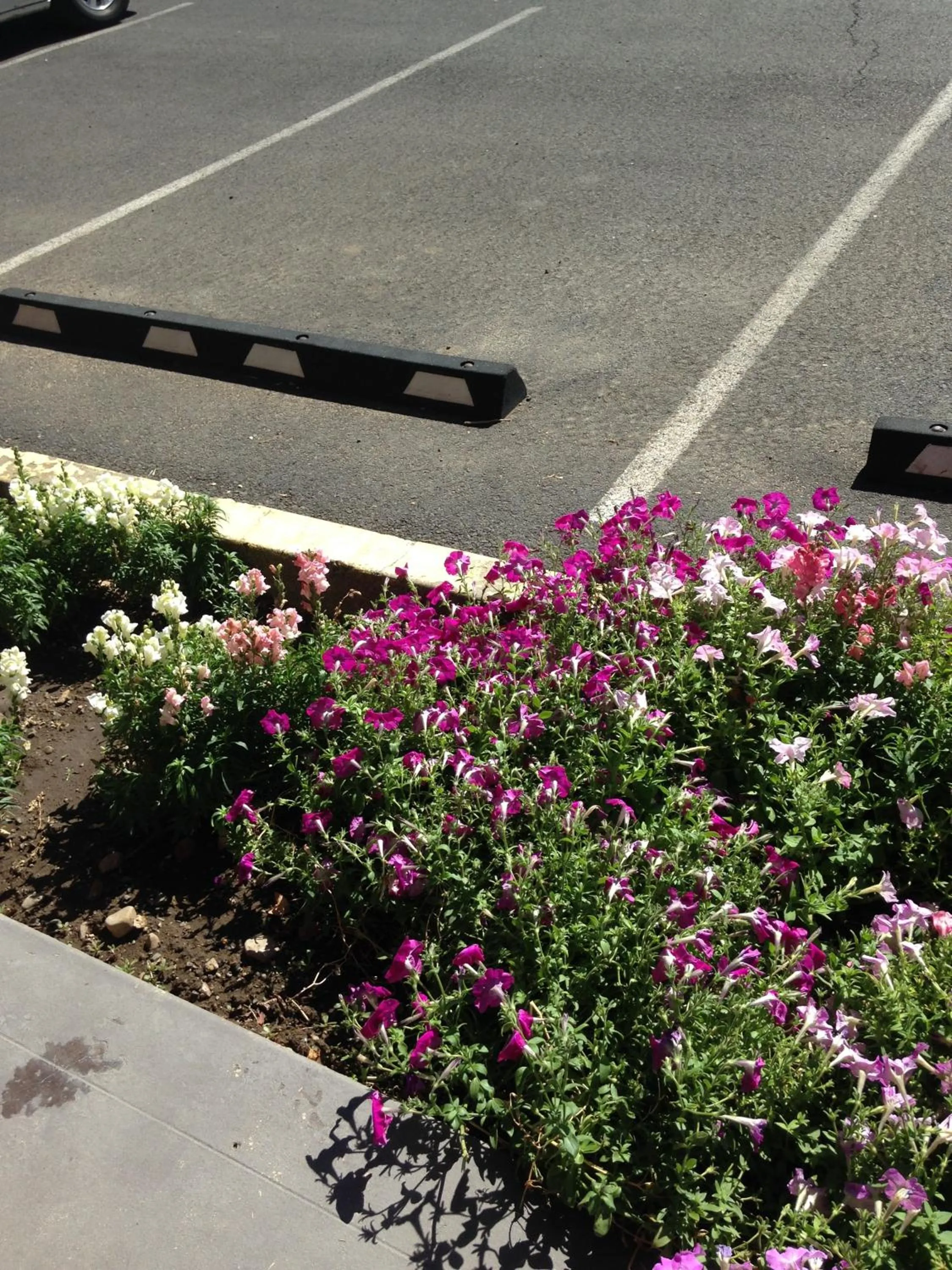 Decorative detail in Rugged Country Lodge