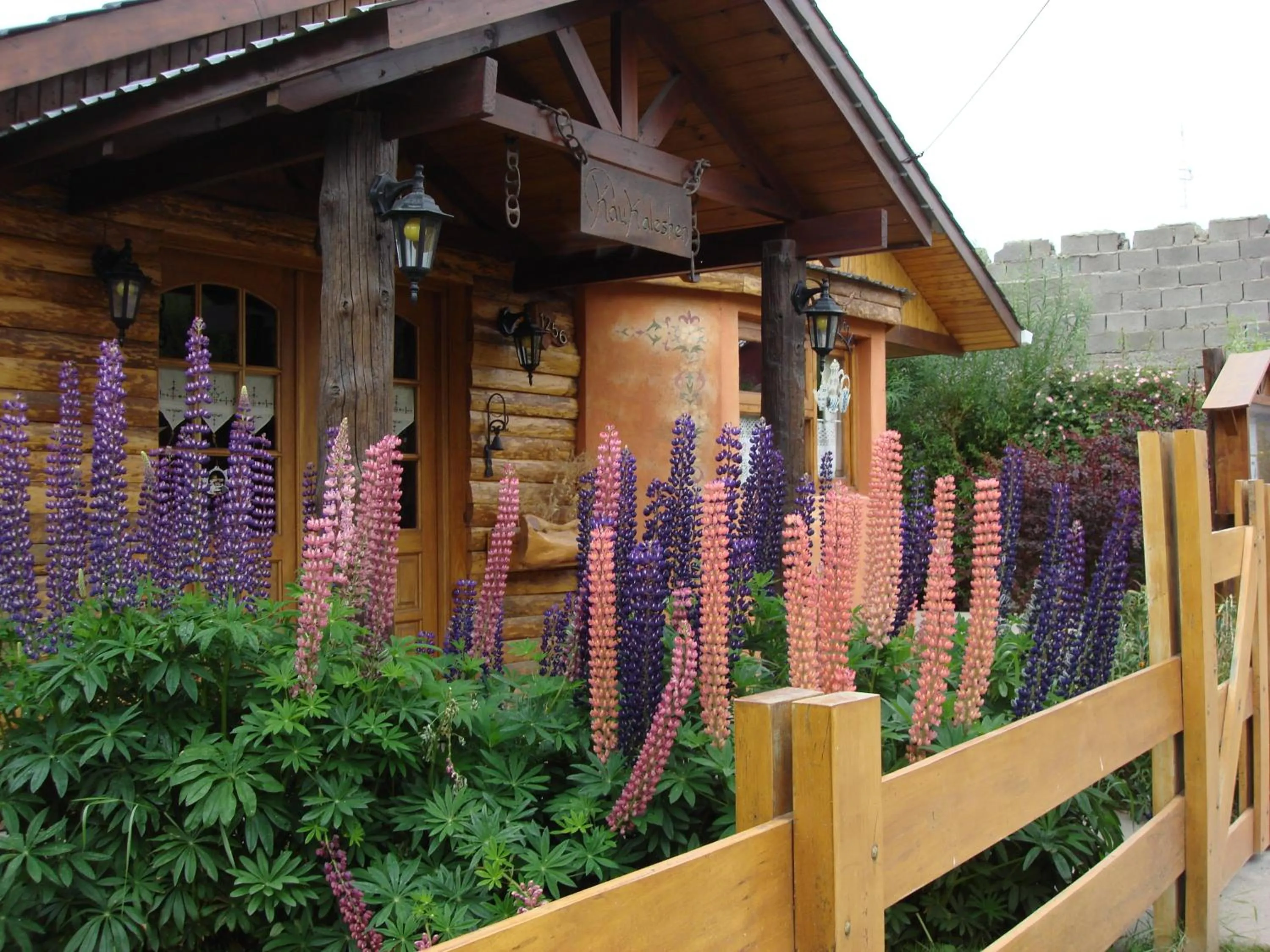 Facade/entrance in Kau Kaleshen