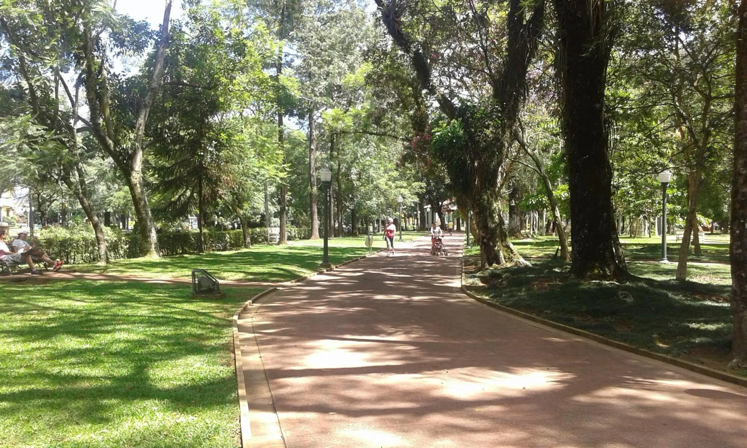 Garden in Hotel Salvador