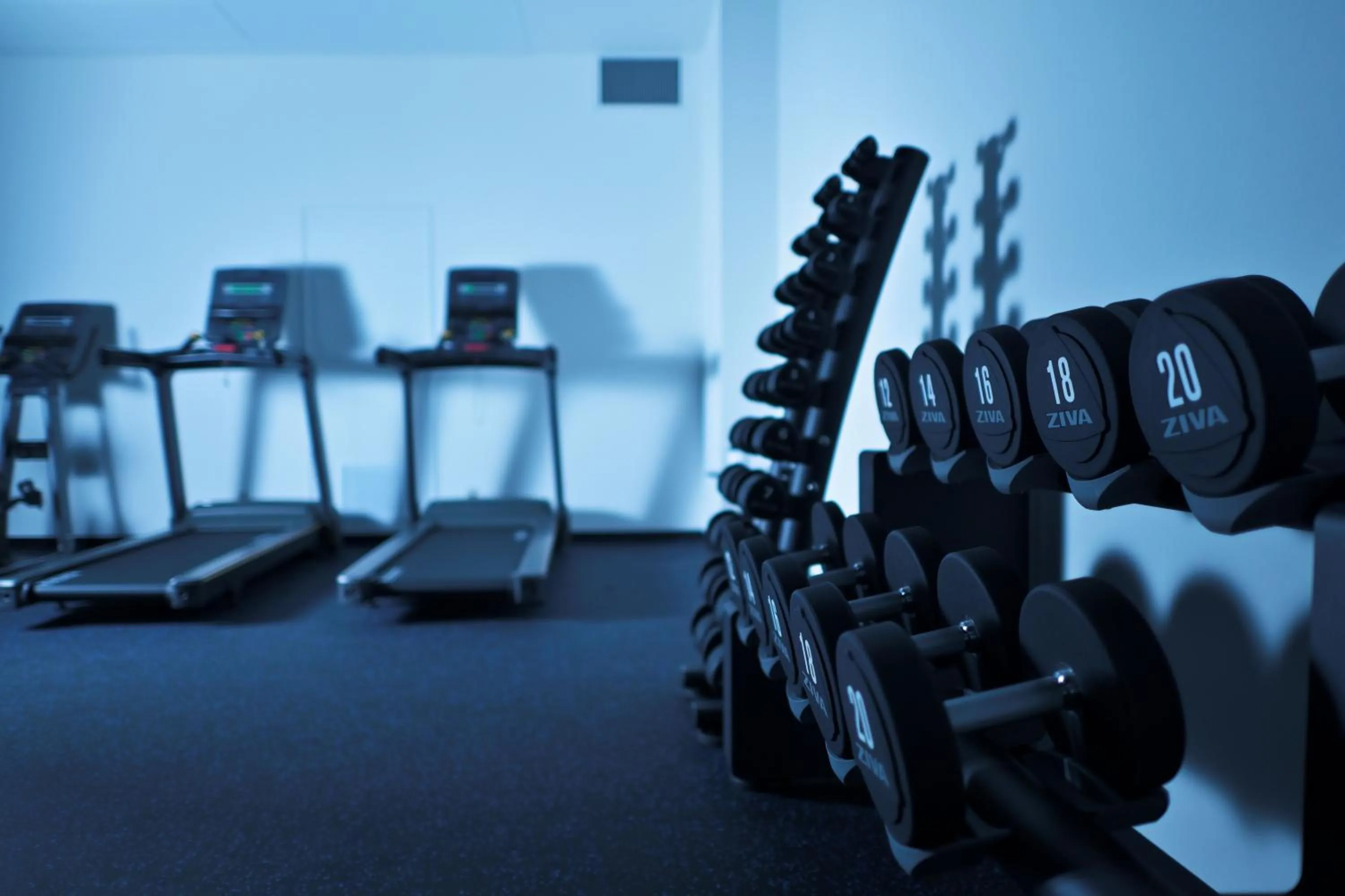 Fitness centre/facilities in ANA Crowne Plaza Hotel Nagasaki Gloverhill by IHG