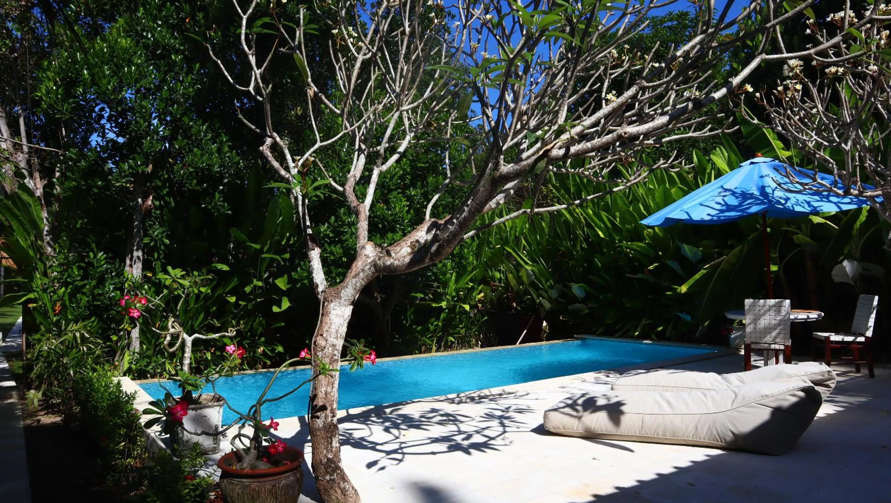 Pool view in The Forty Eight Resort Candidasa