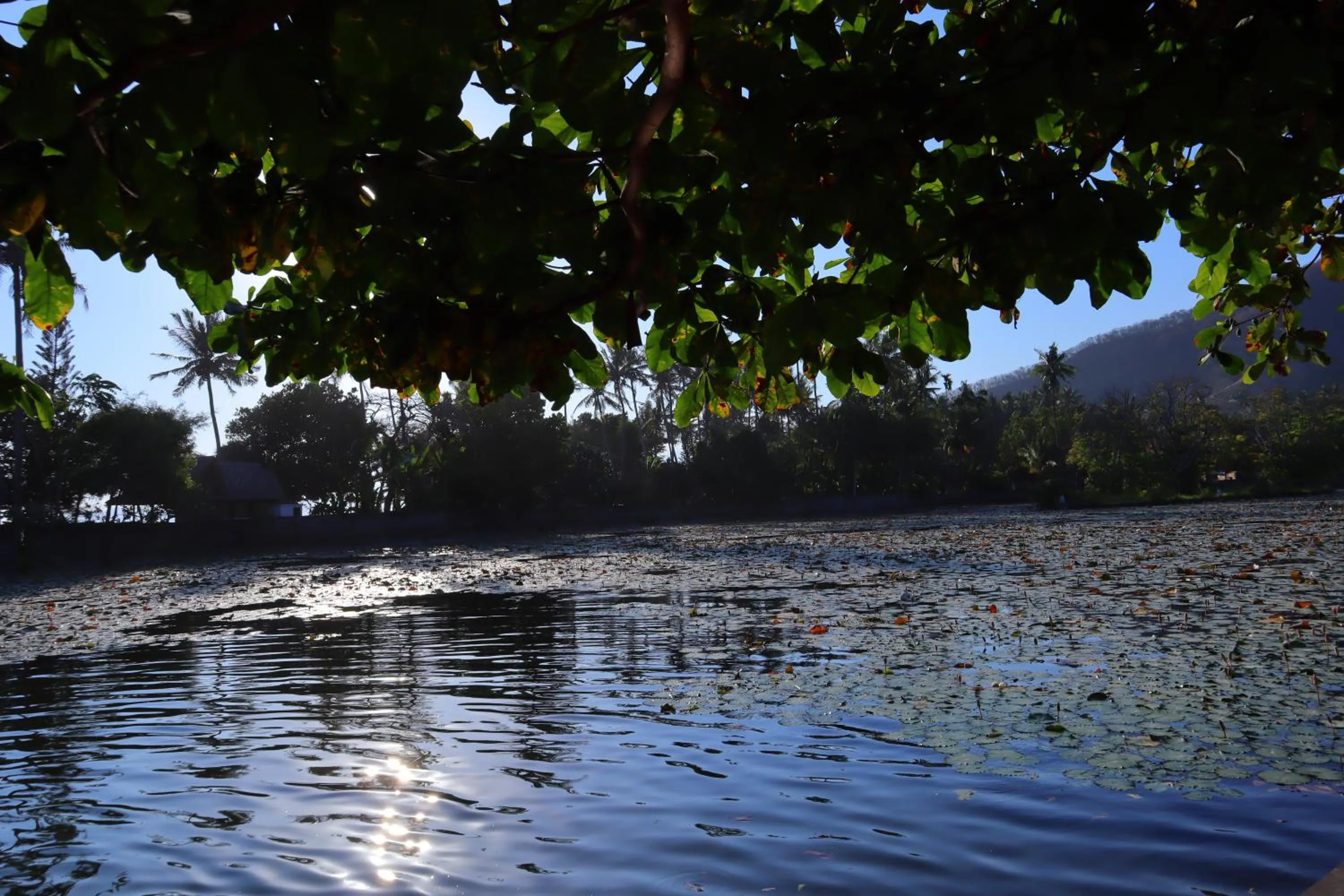 Natural landscape in The Forty Eight Resort Candidasa