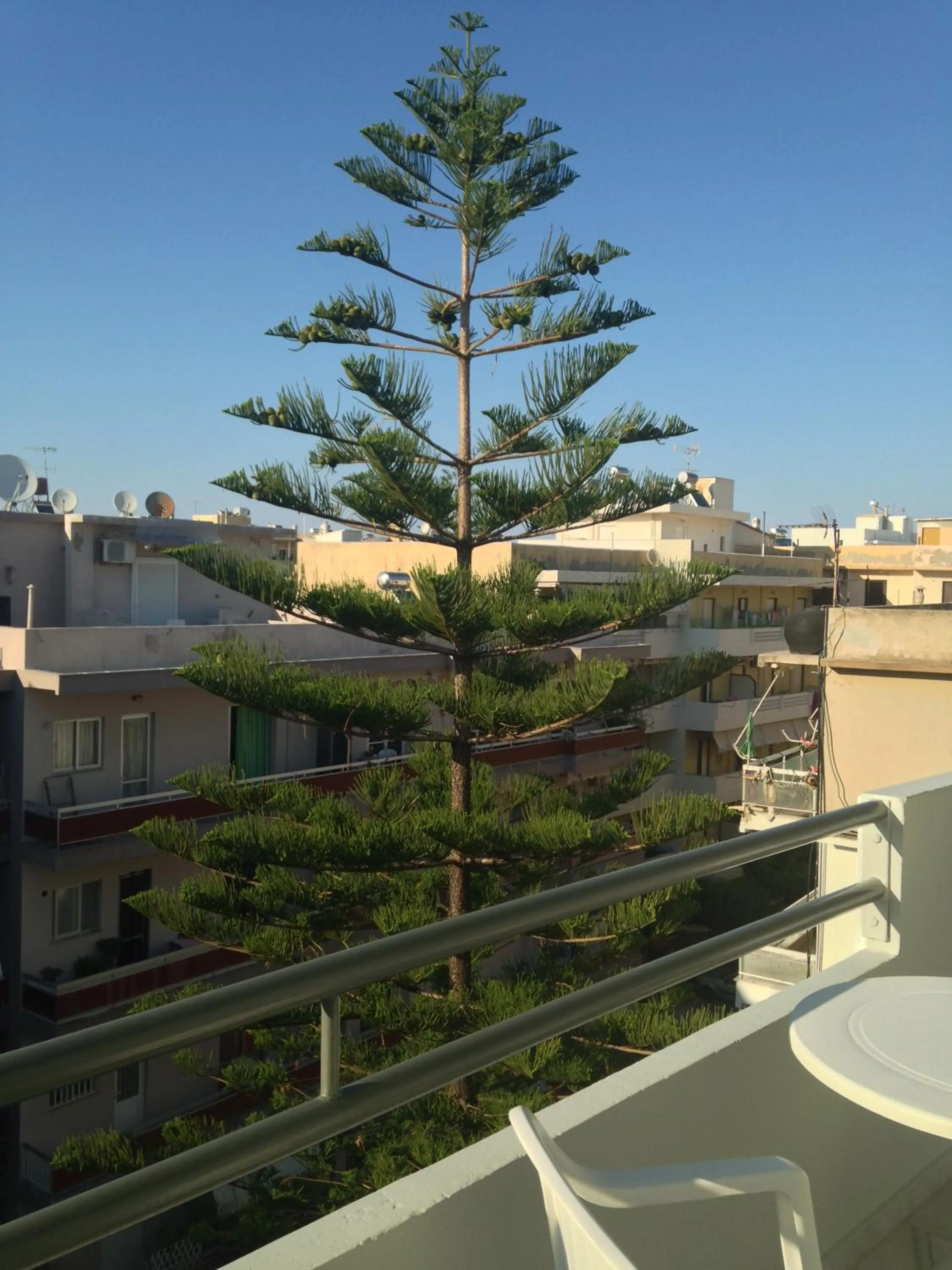 Garden view in Mardinik Hotel Apartments
