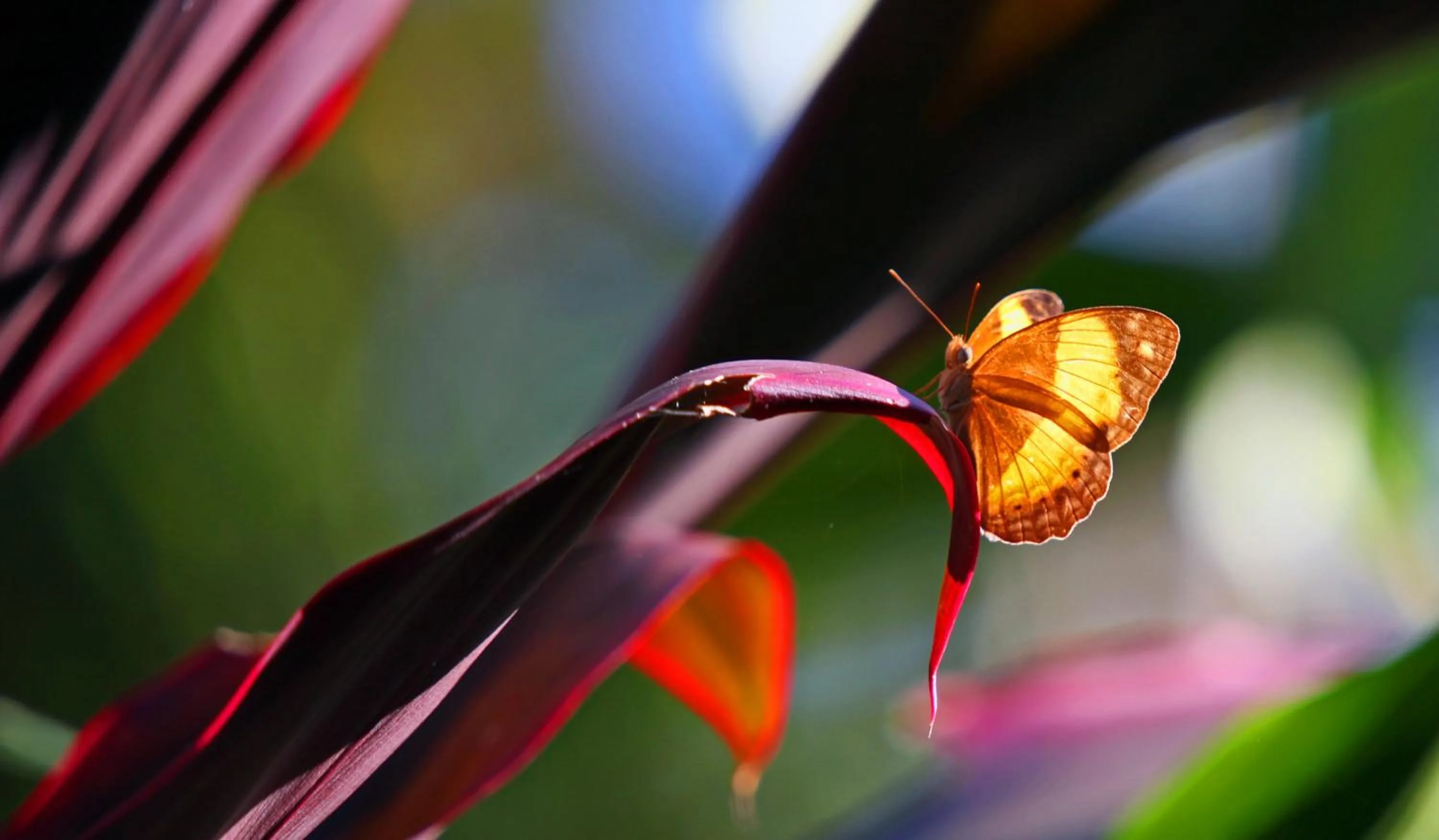Garden in Eden House Retreat