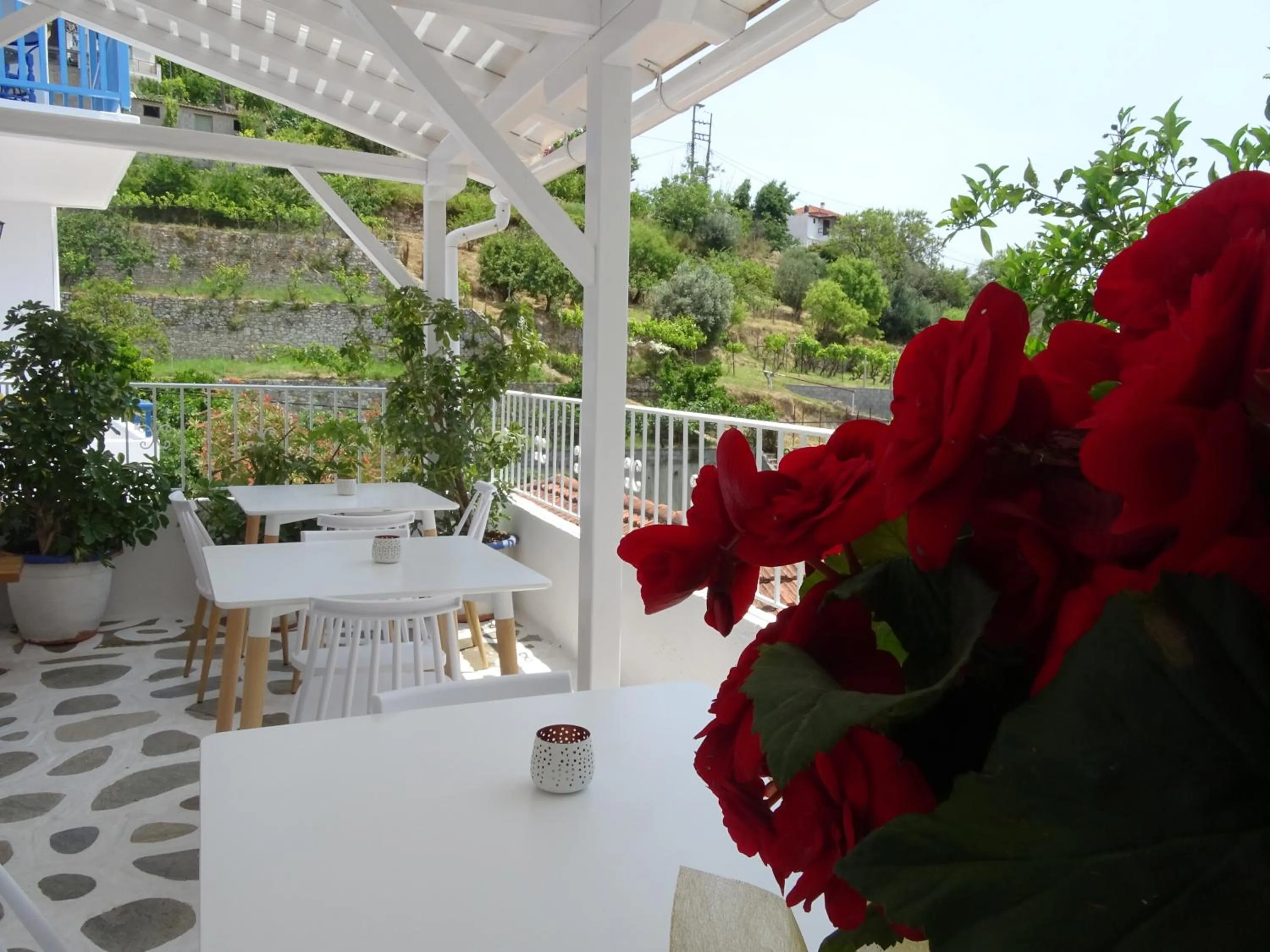 Patio in Galini Hellenic Hospitality