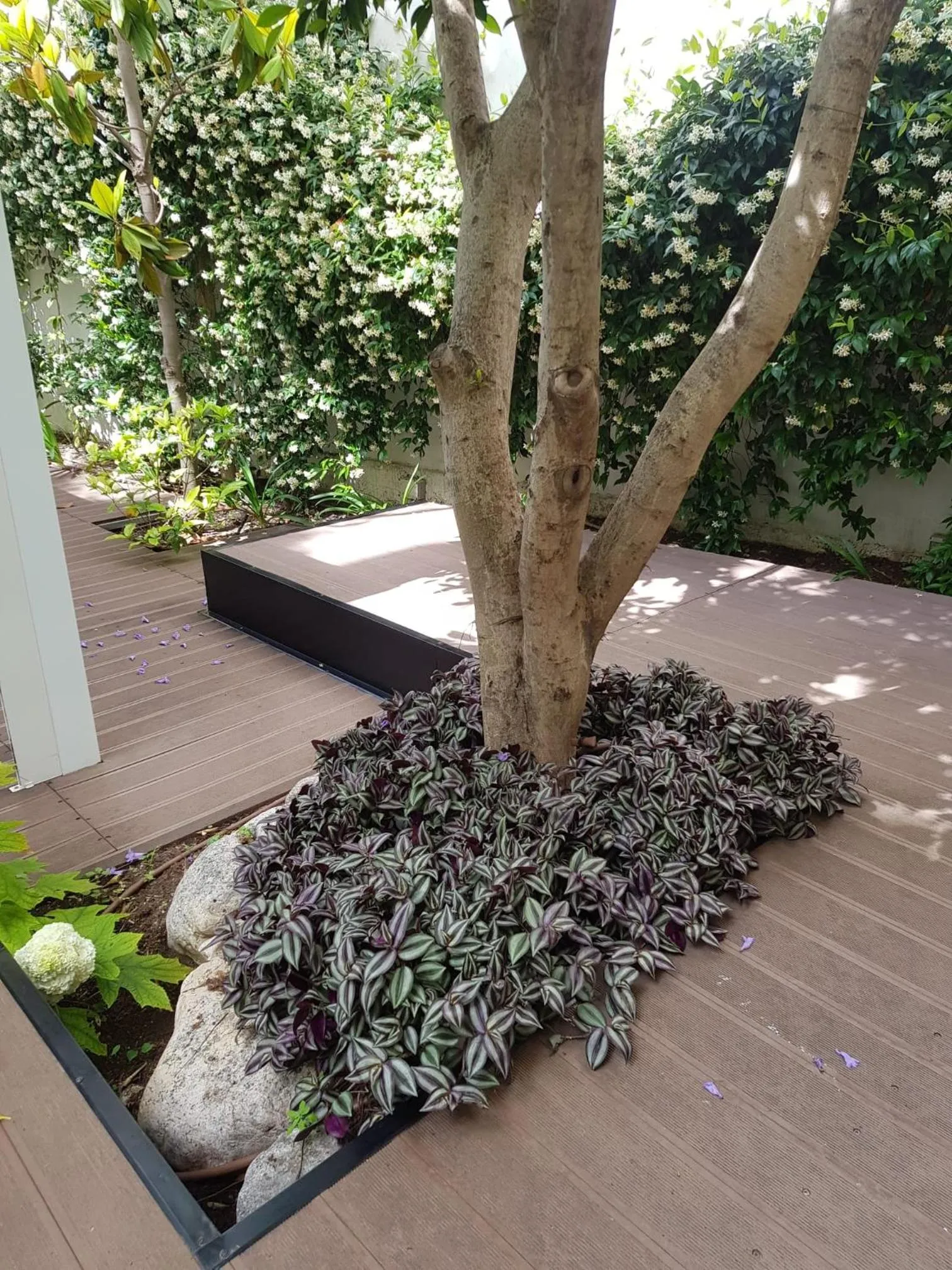 Garden in BorgoAntico34 - Luxury Room