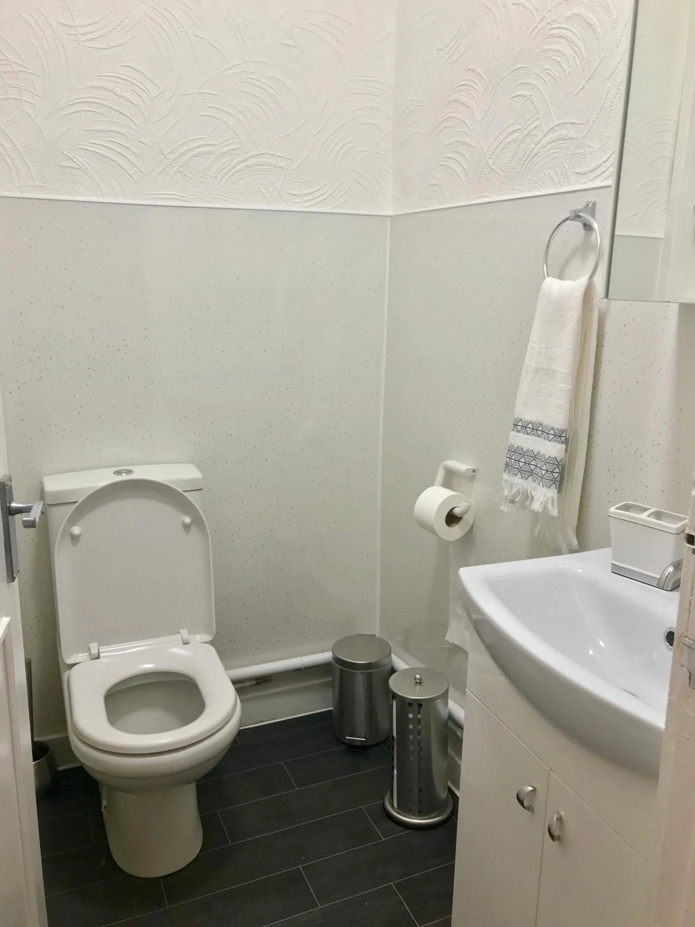 Toilet in 233 Leith Apartment