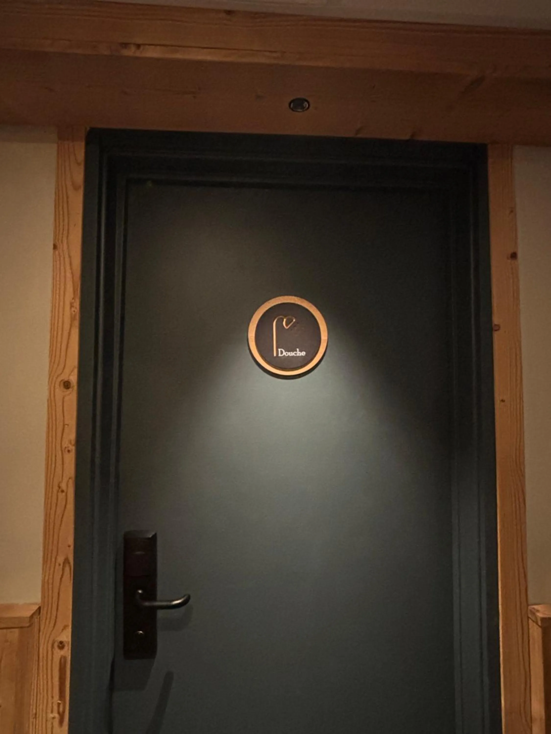 Shower in Hotel le Sherpa