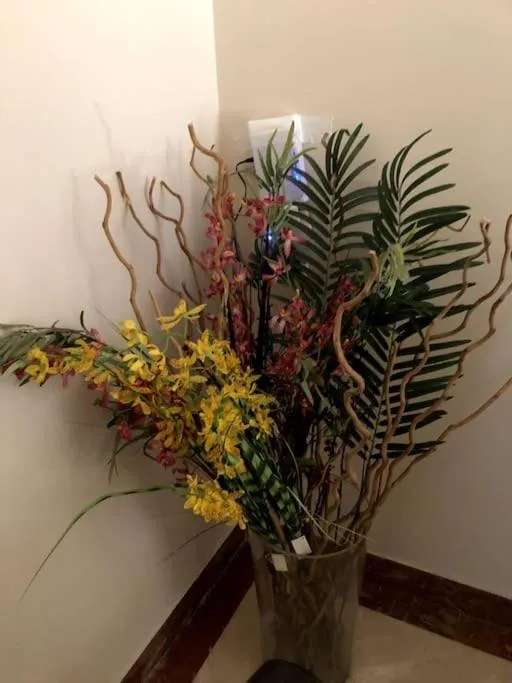 Nitza Seaview Apartments