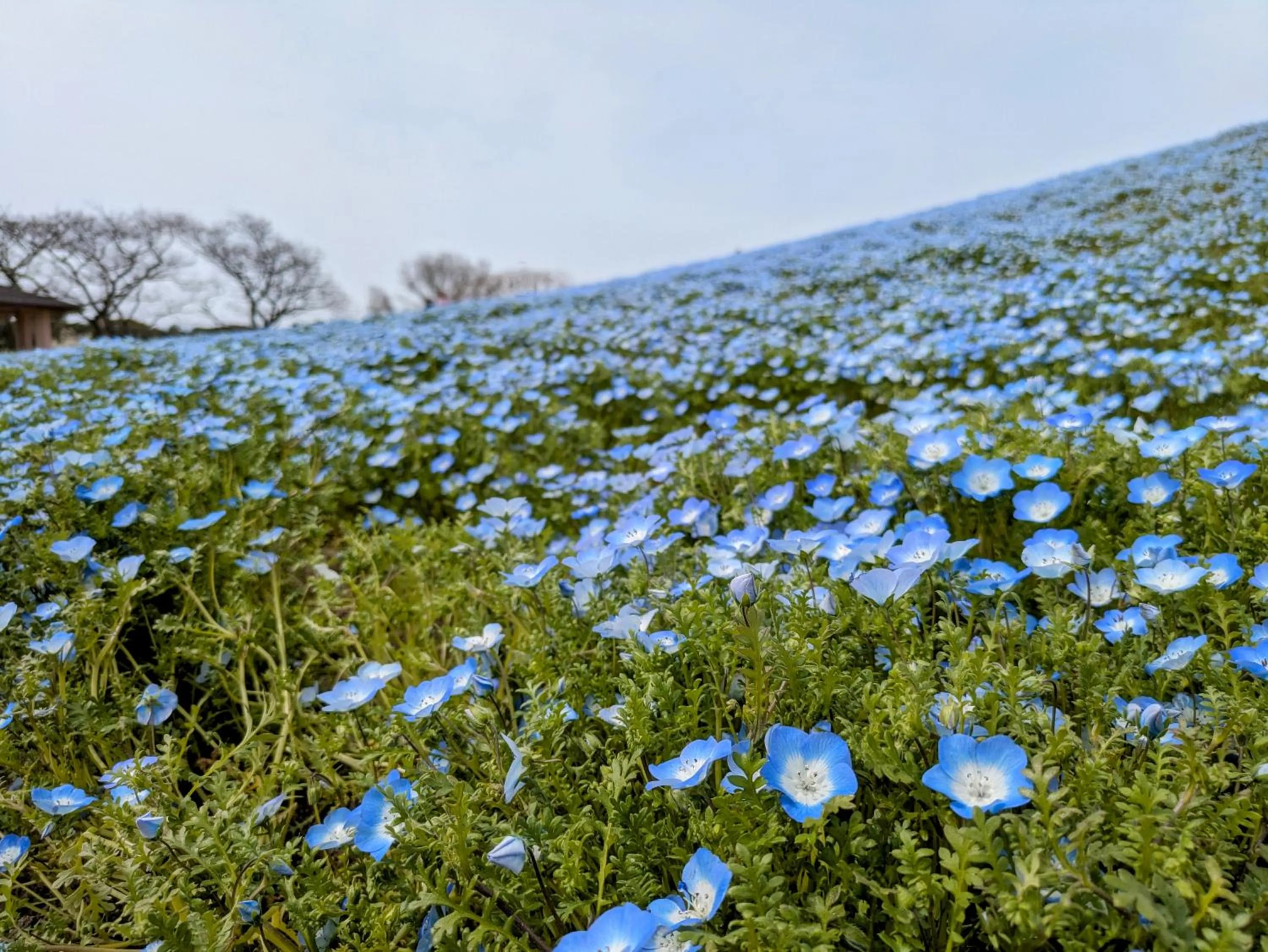 Nearby landmark in Hotel Hokke Club Fukuoka