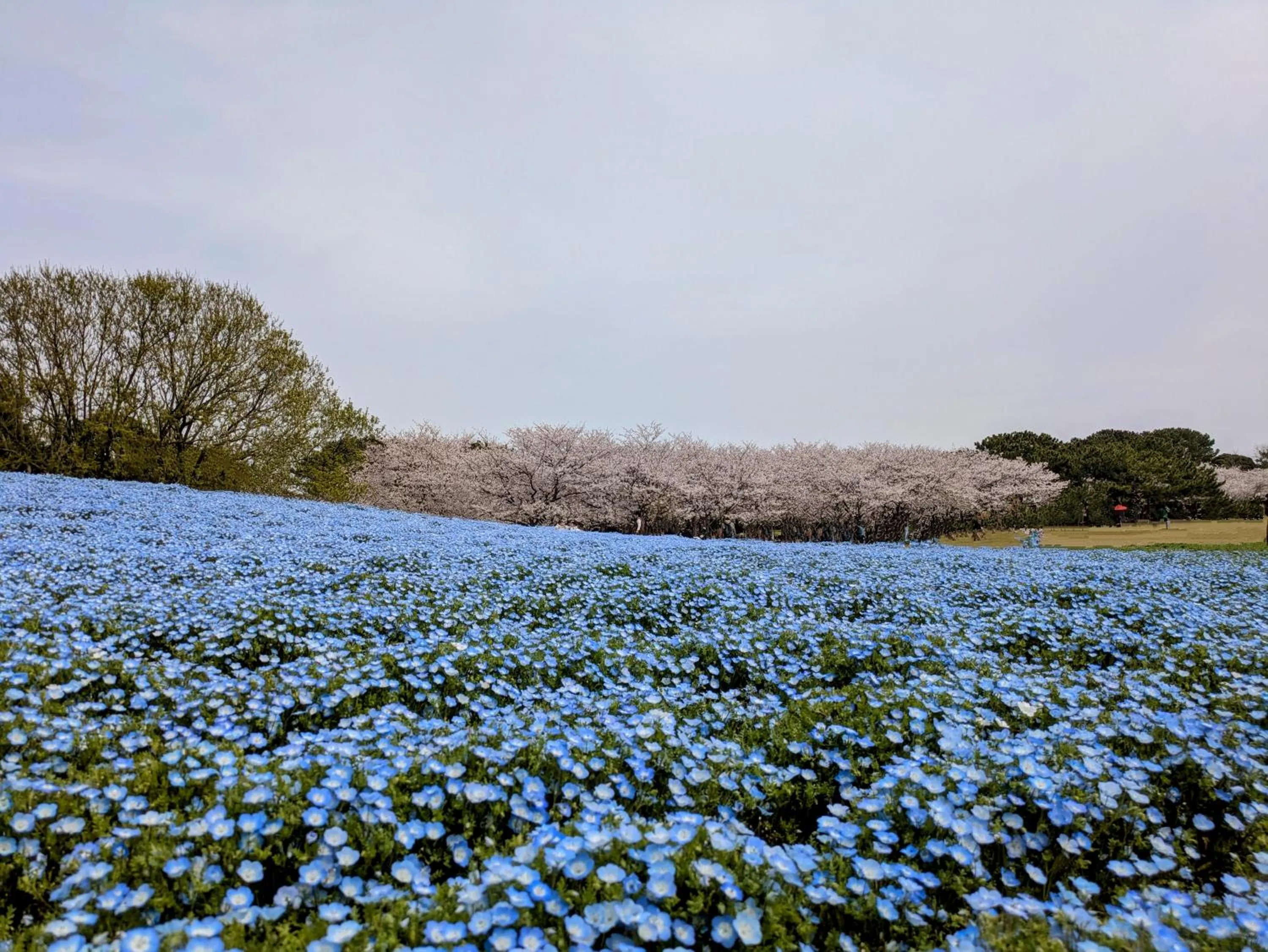 Nearby landmark in Hotel Hokke Club Fukuoka