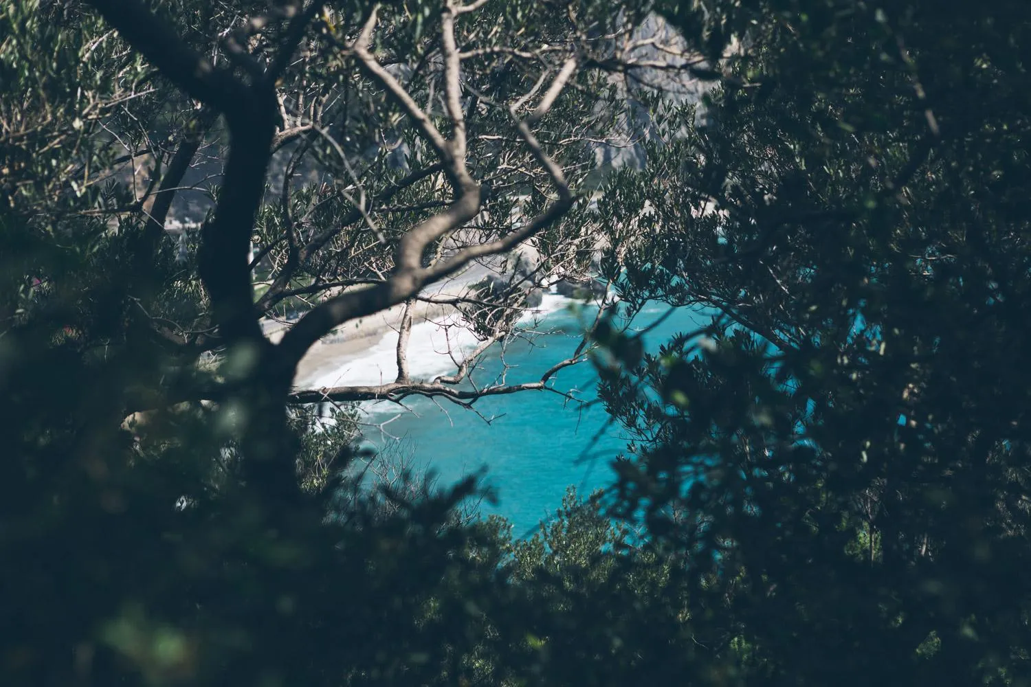 Natural landscape in Hotel Liliana