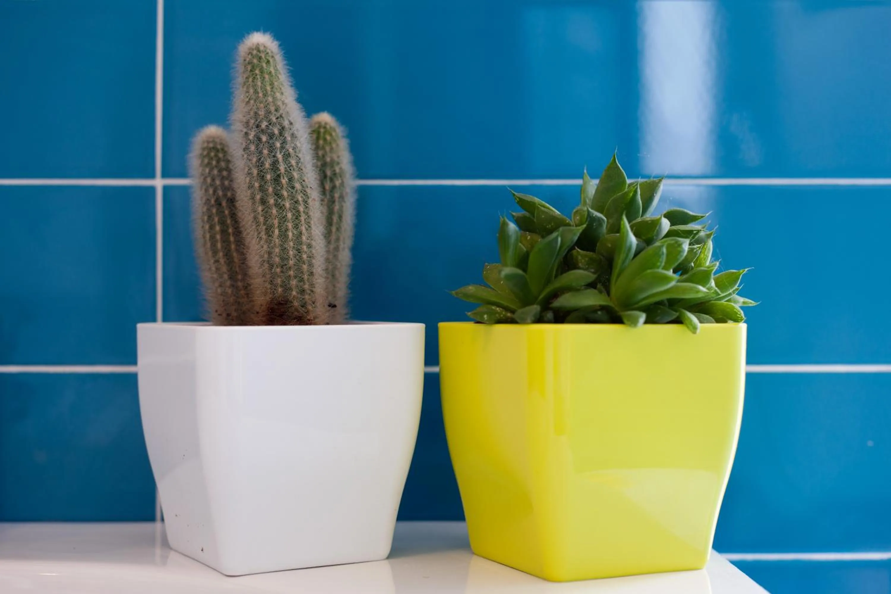 Bathroom in Hotel Liliana