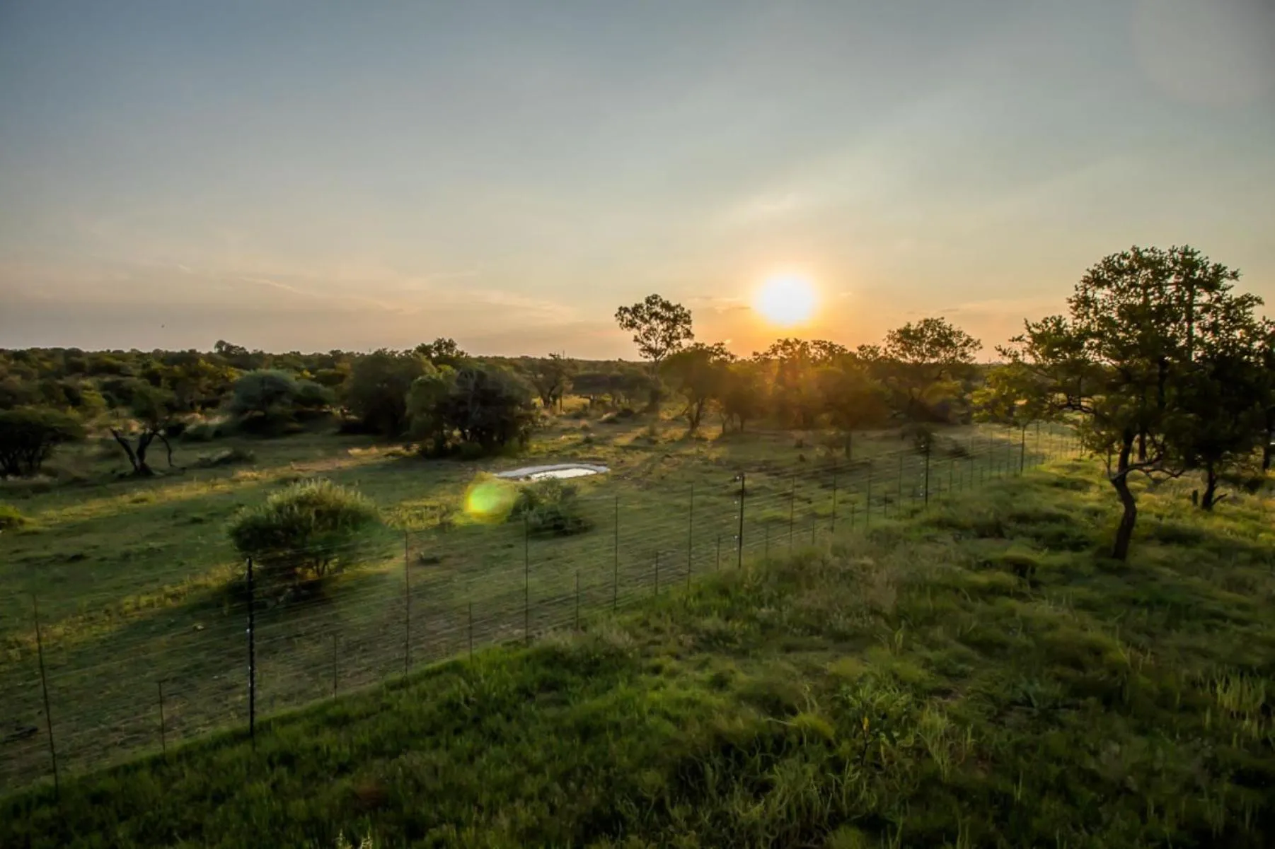 View (from property/room) in LookOut Safari Lodge
