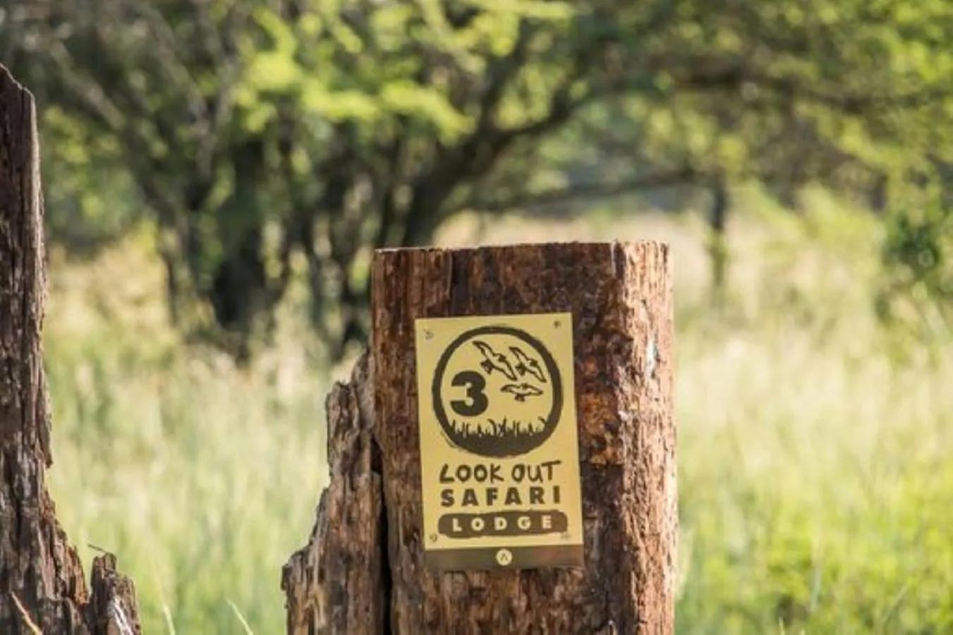 Property logo or sign in LookOut Safari Lodge