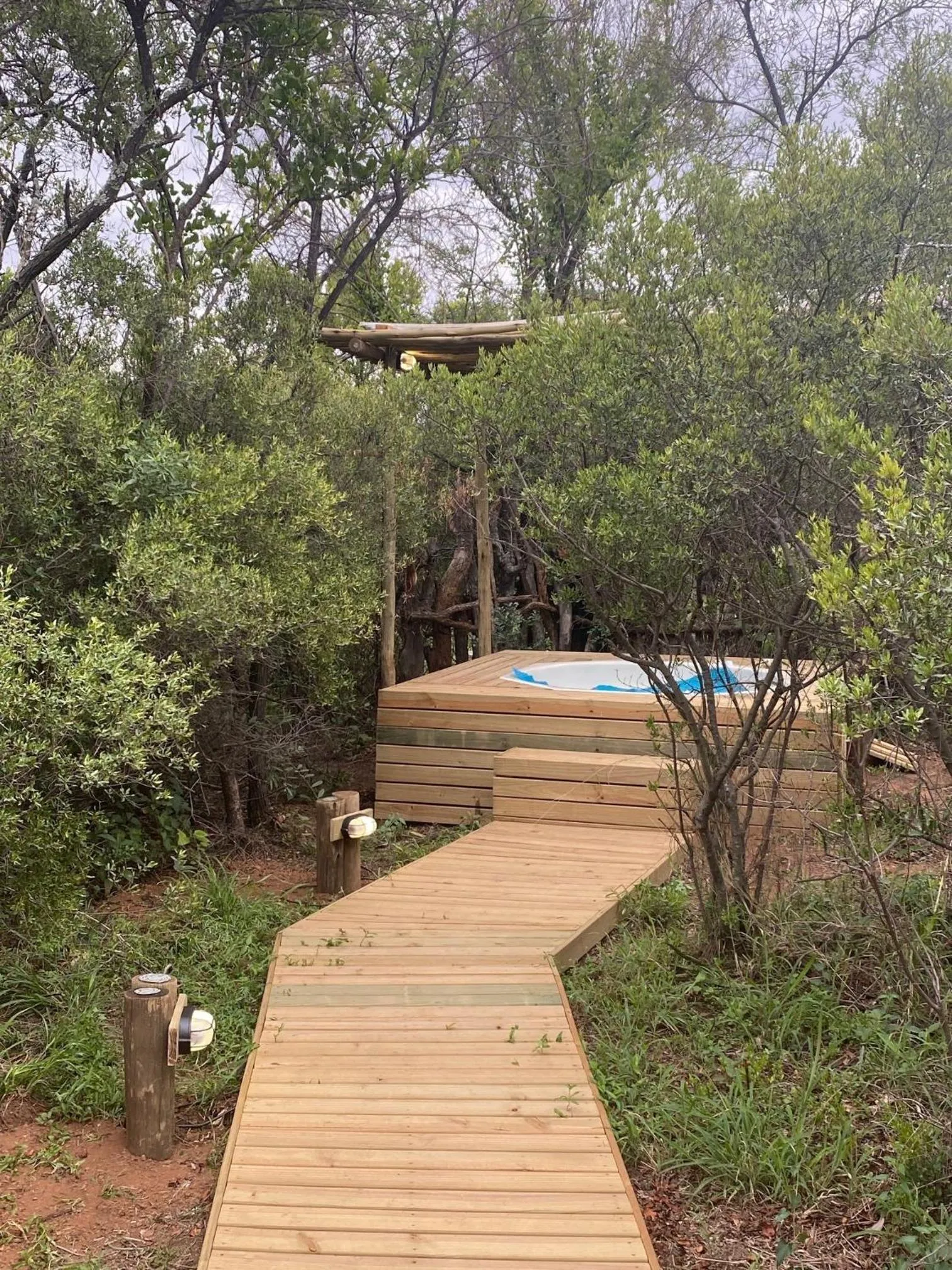 Garden view in LookOut Safari Lodge