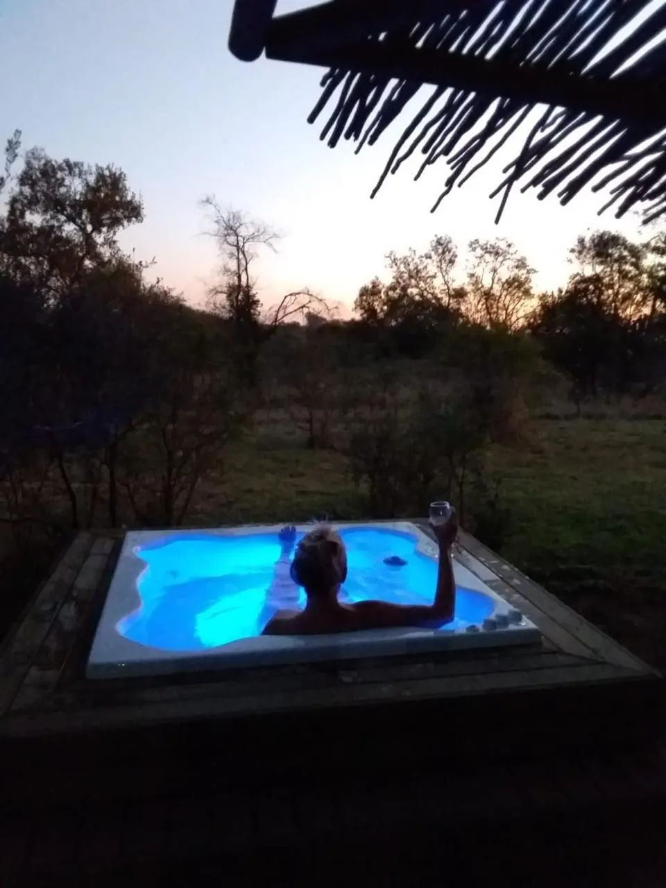 View (from property/room) in LookOut Safari Lodge