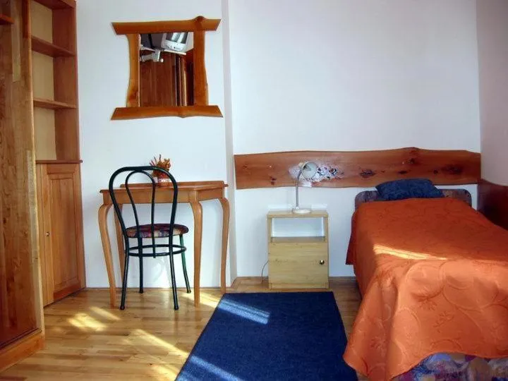 Single Room in Hotel Diána