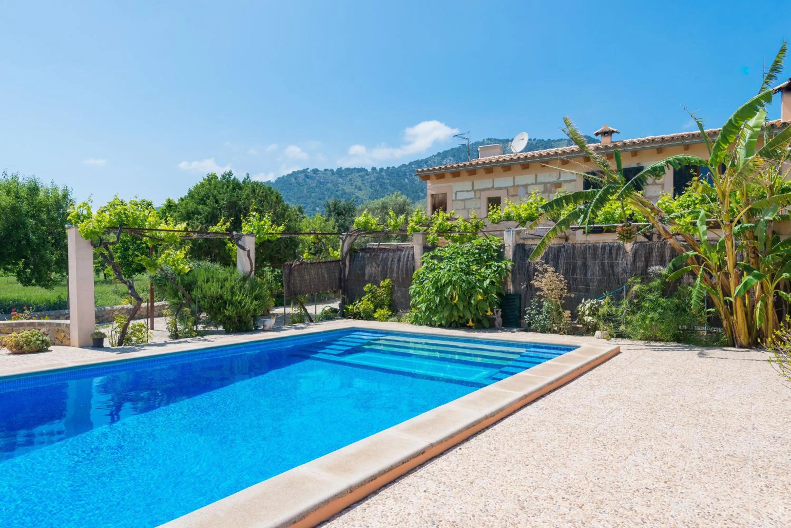 Swimming pool in Finca - Agroturisme Sa Parellada