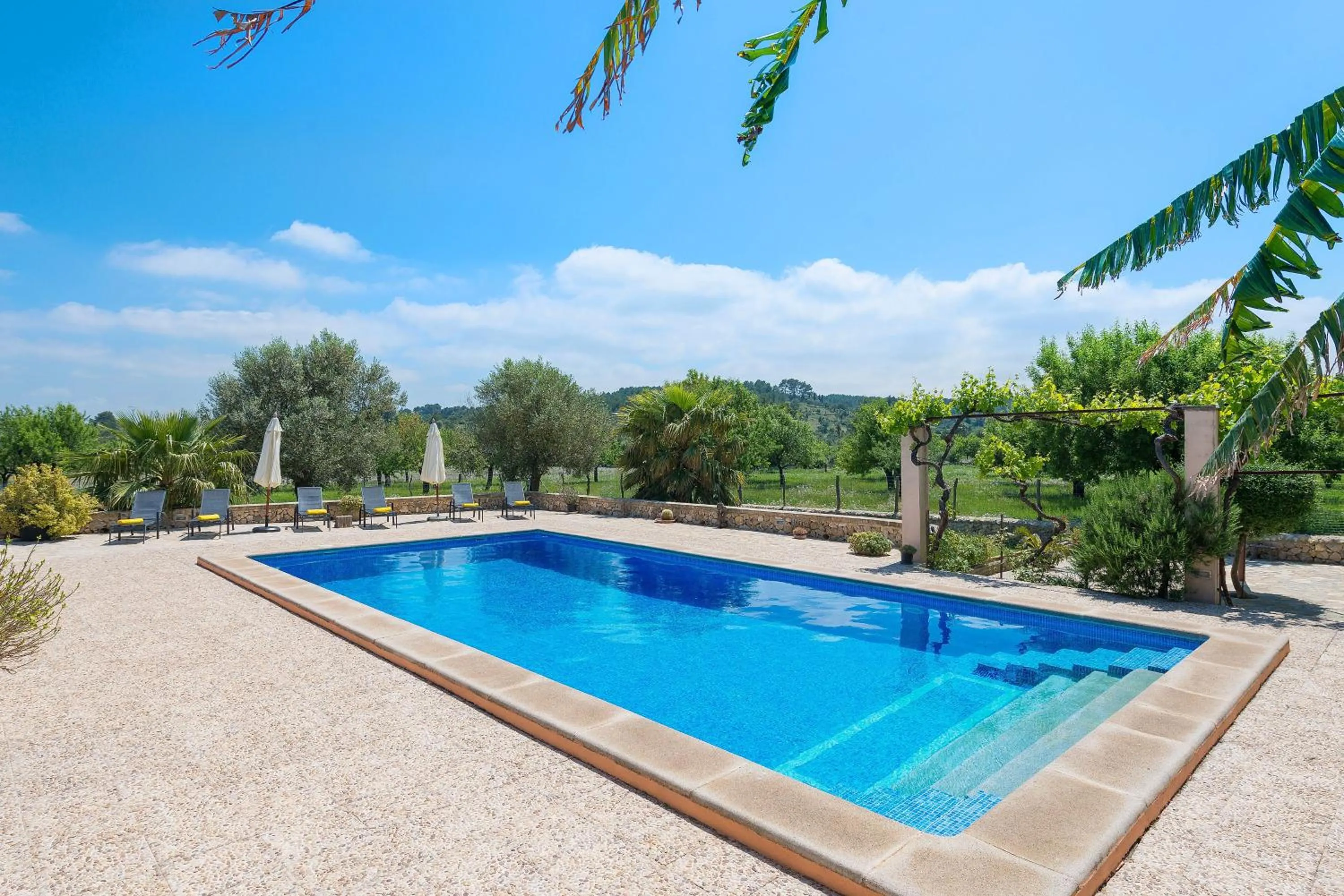 Swimming pool in Finca - Agroturisme Sa Parellada