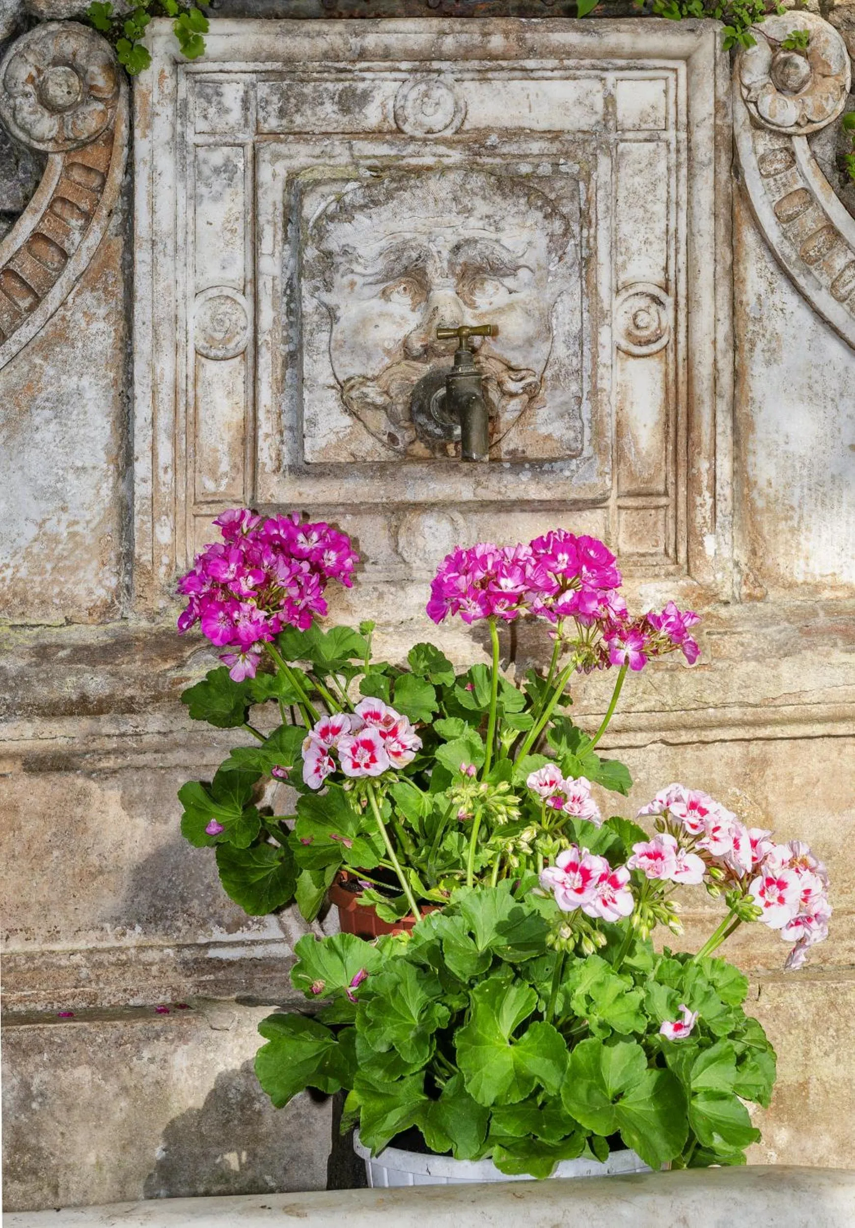 Garden view in Casa Diocesana di Lucca