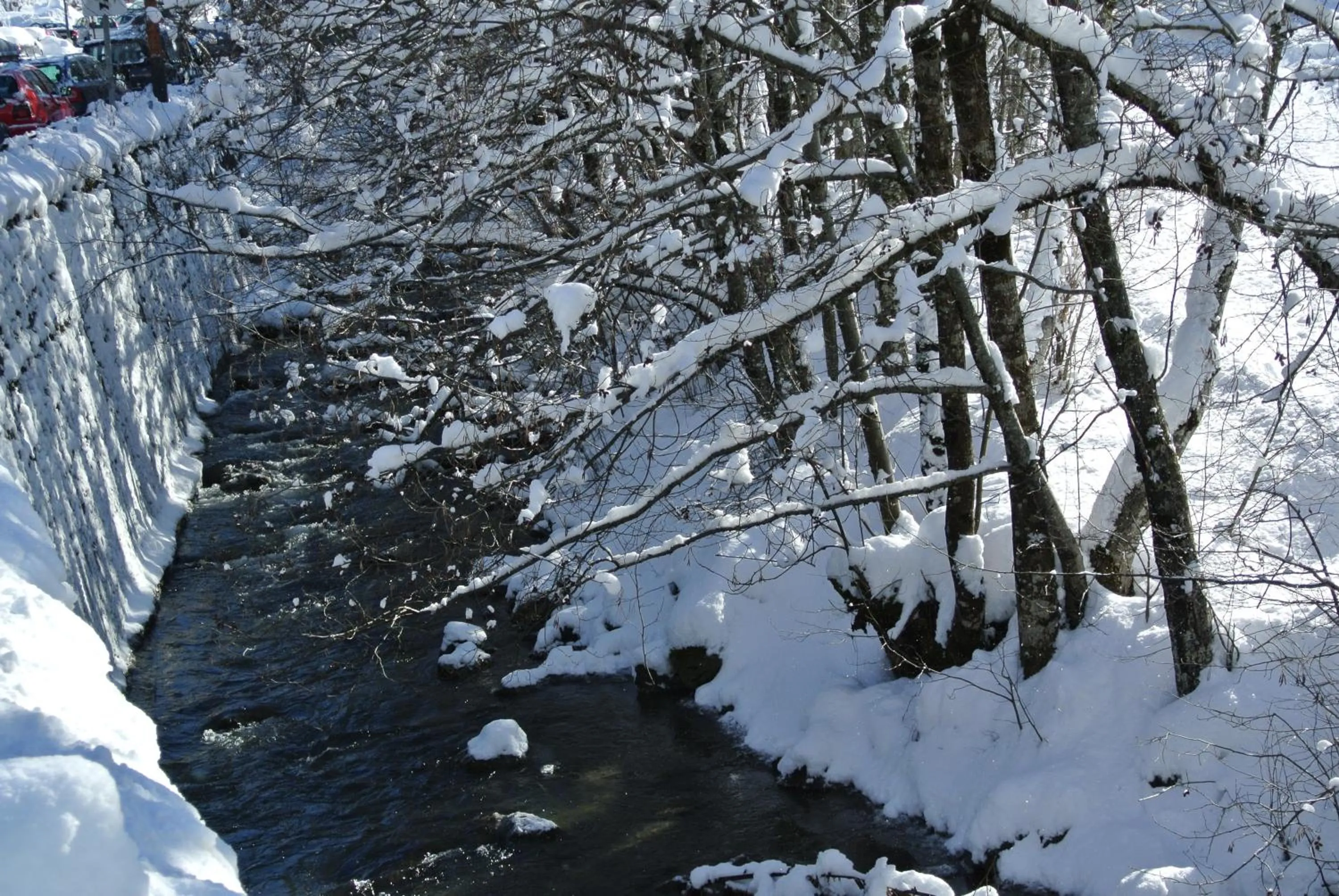 Area and facilities in Hôtel et Spa Le Vermont