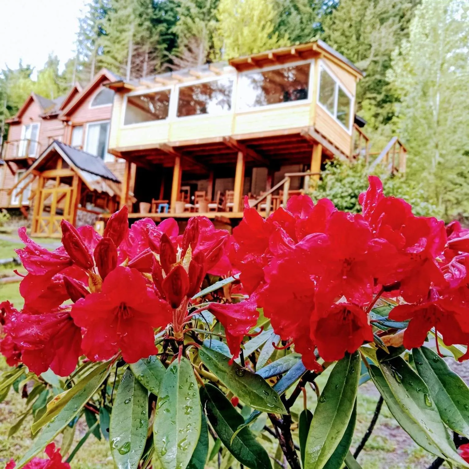 Property building in Hosteria Lekun Lekun