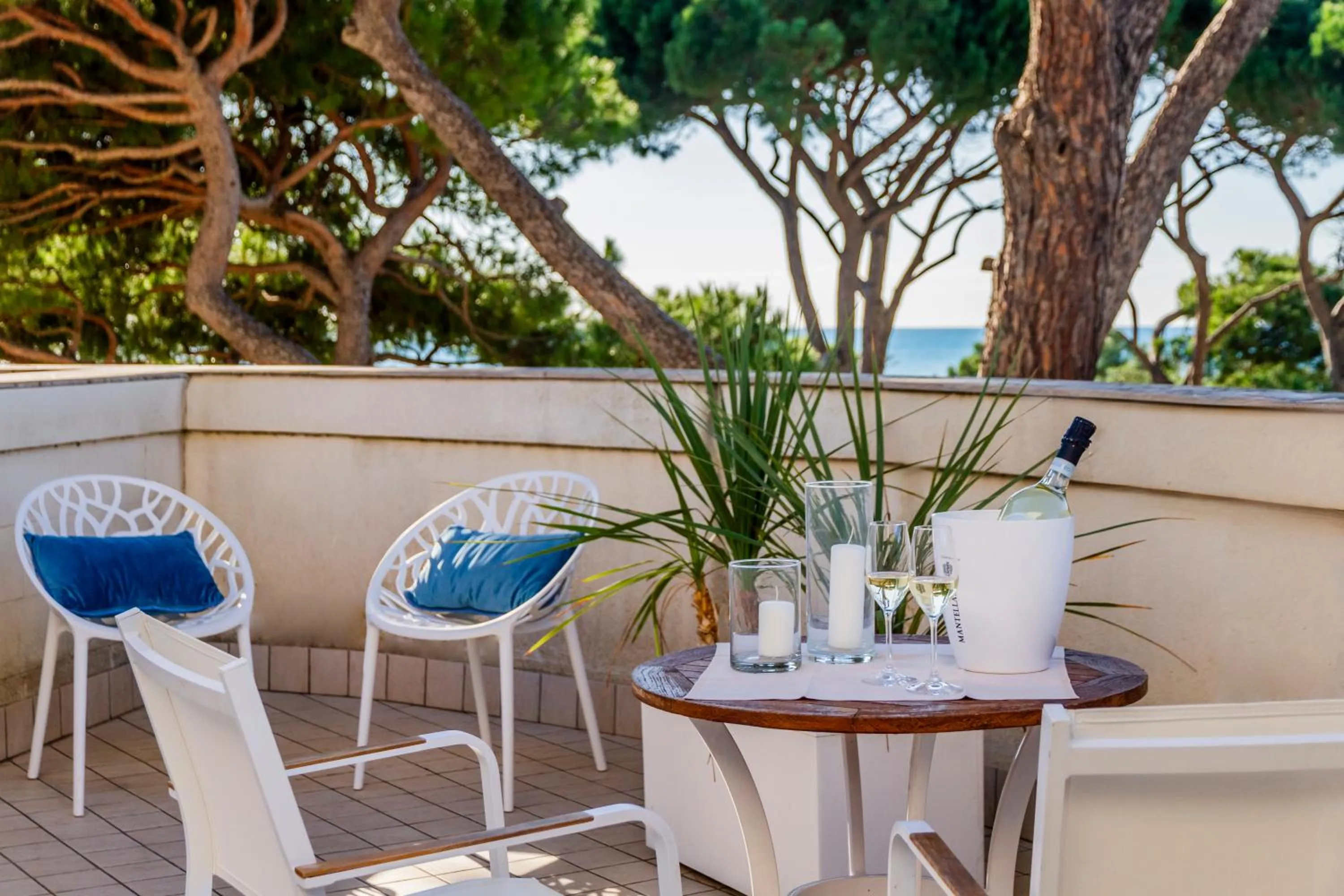 Day in Hotel Terme Marine Leopoldo II TERME & SPA