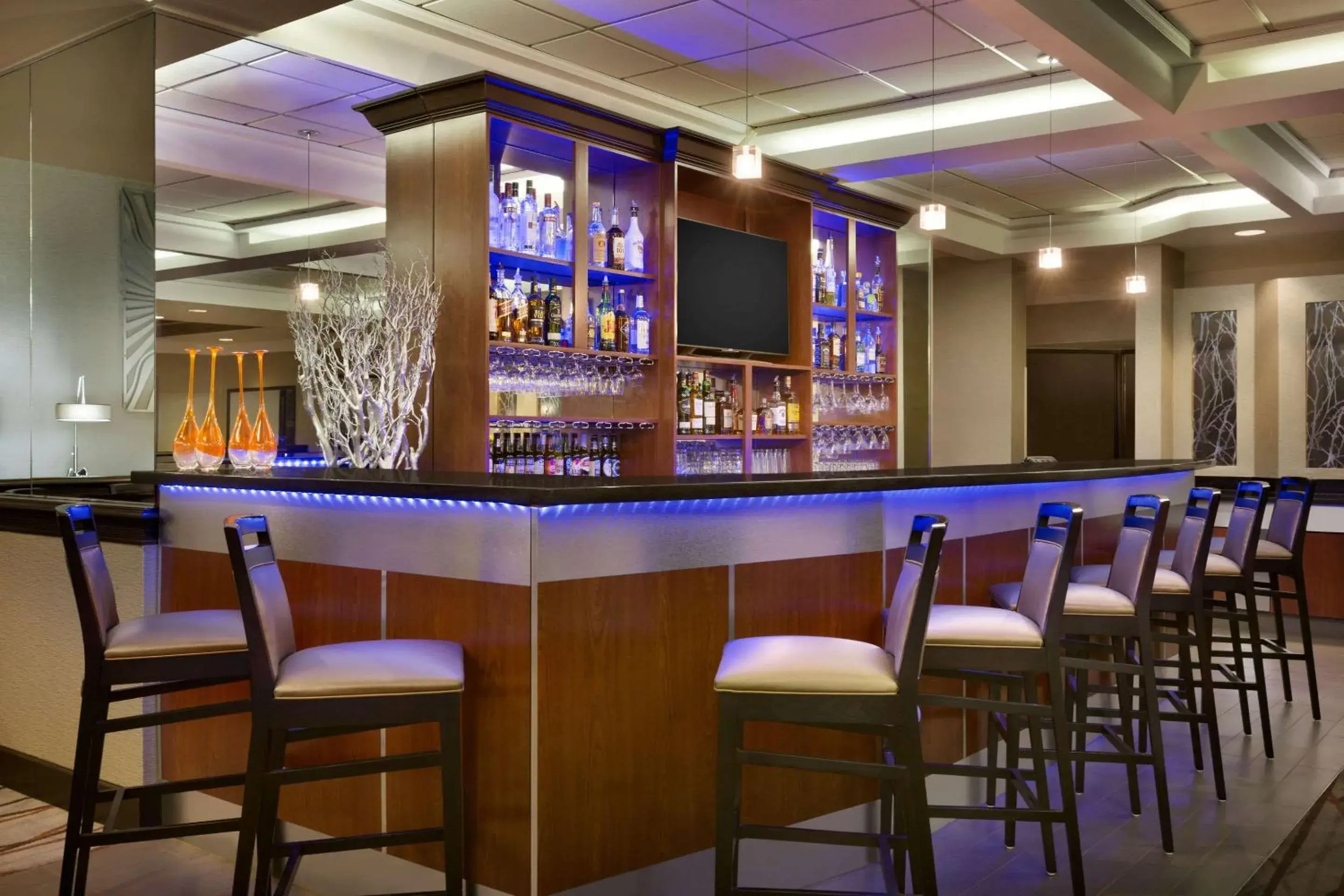 Lounge or bar in Radisson Akron-Fairlawn Copley Lounge or bar in Radisson Akron-Fairlawn Copley