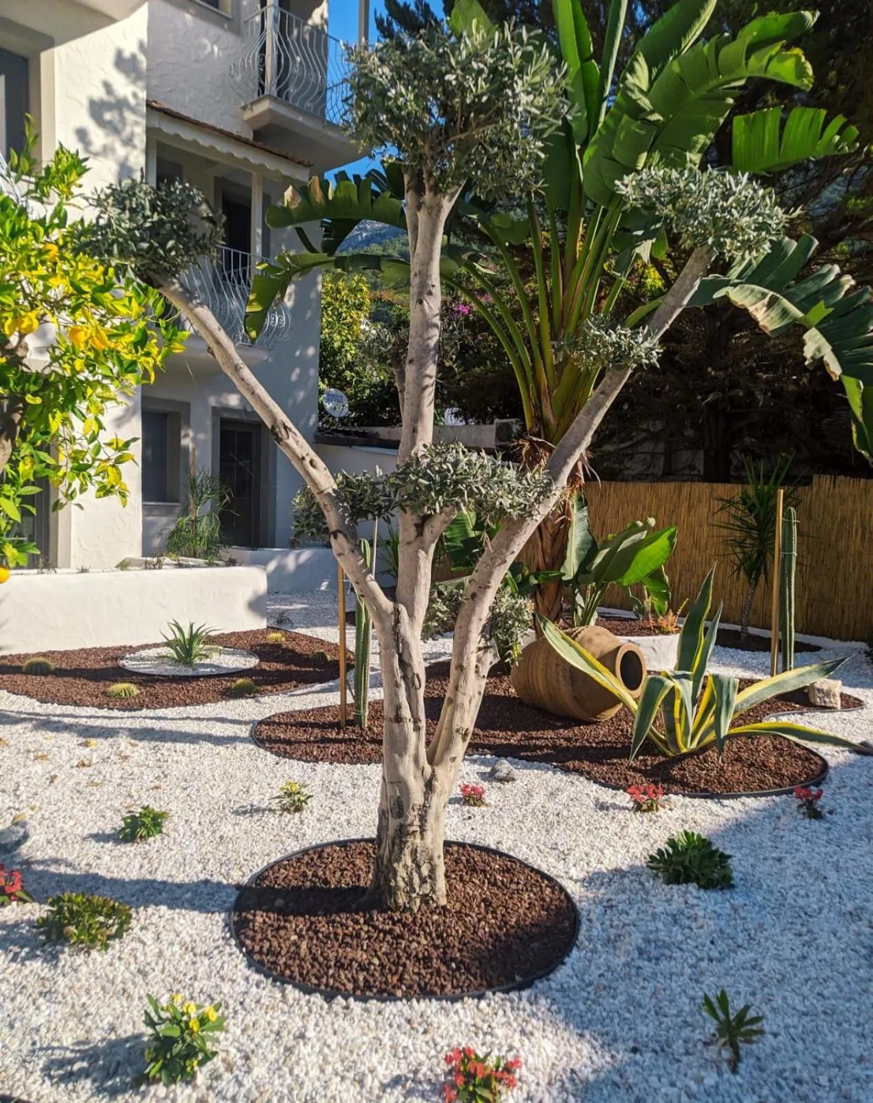 Garden in Salonika Suites