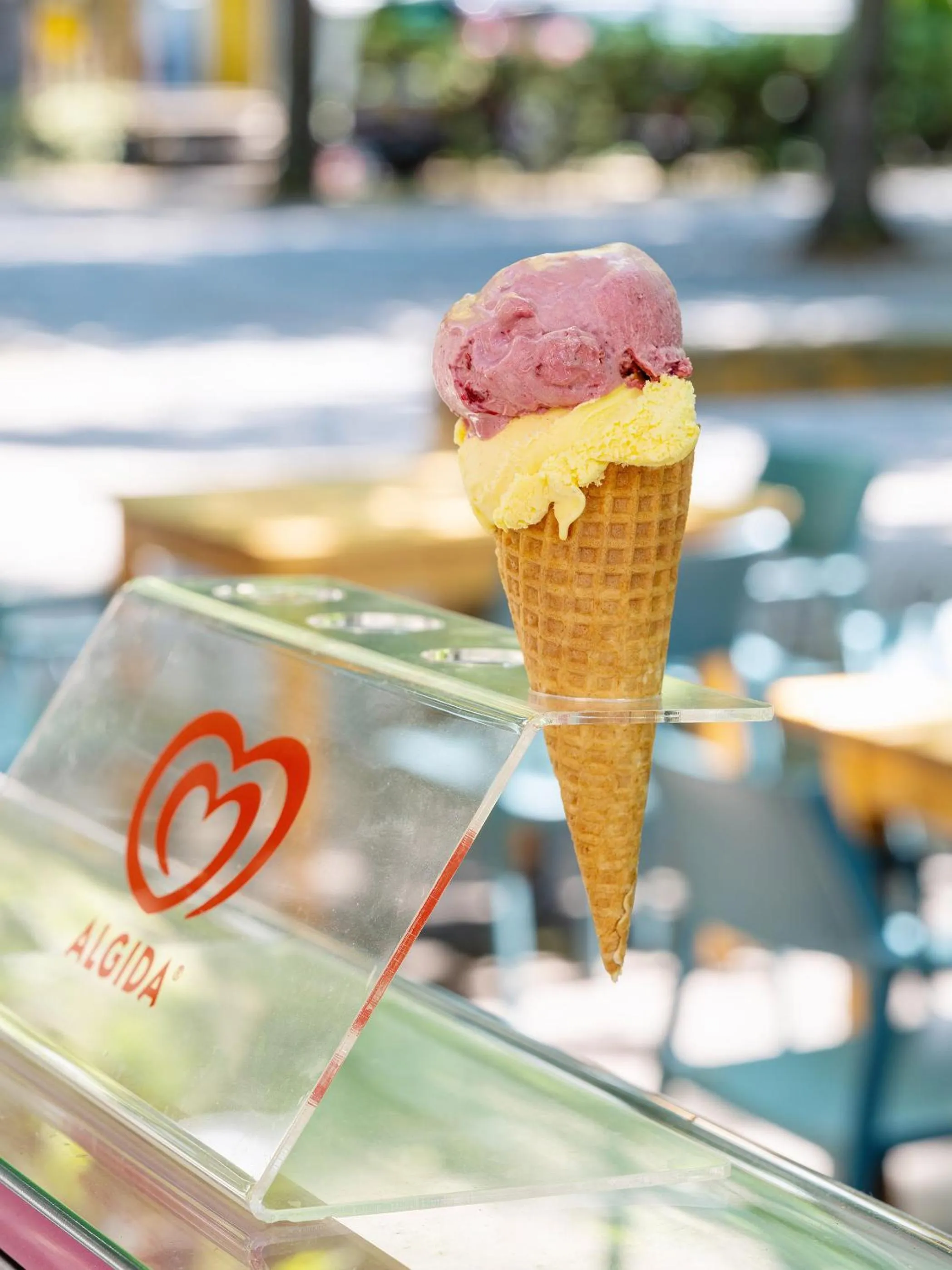 Restaurant/places to eat in Camping Sokol Praha