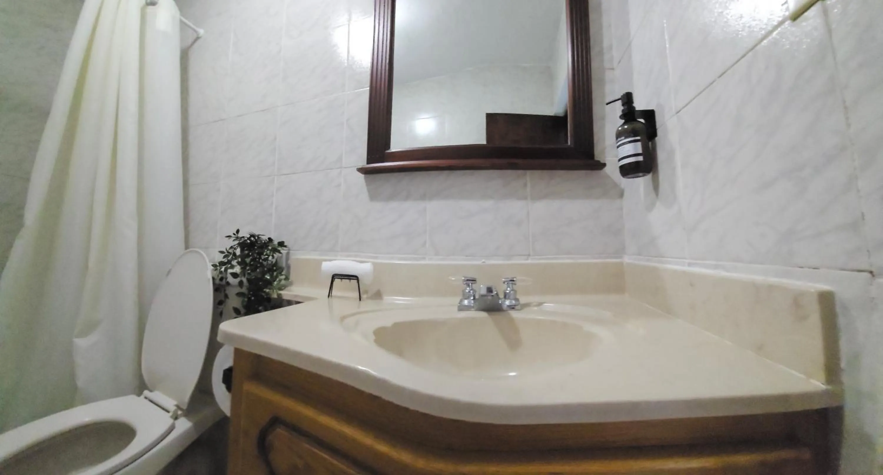 Selva Boutique Hotel - Luquillo Oceanfront Retreat - Adults Only