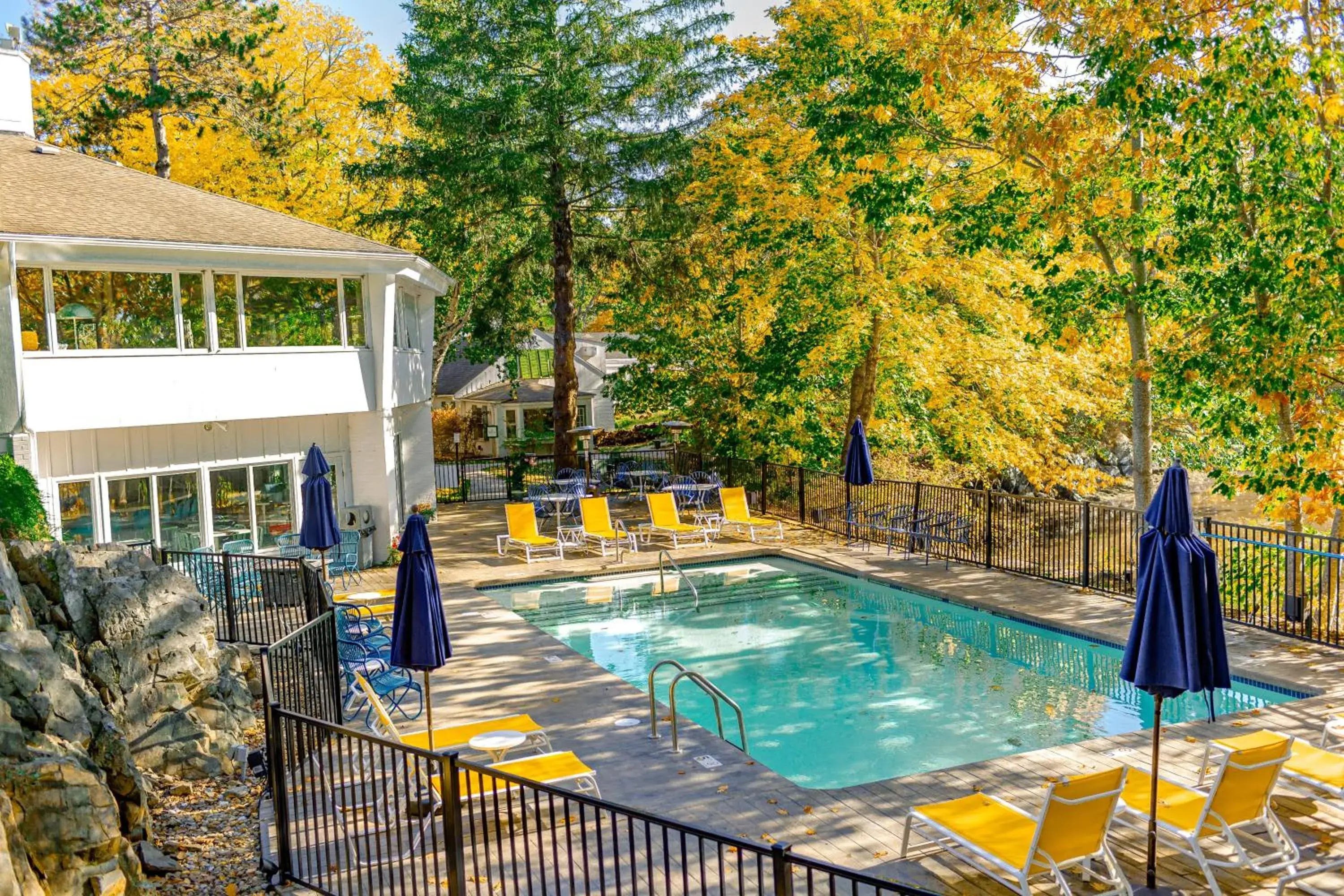 Pool view in The Lodge on the Cove Pool view in The Lodge on the Cove