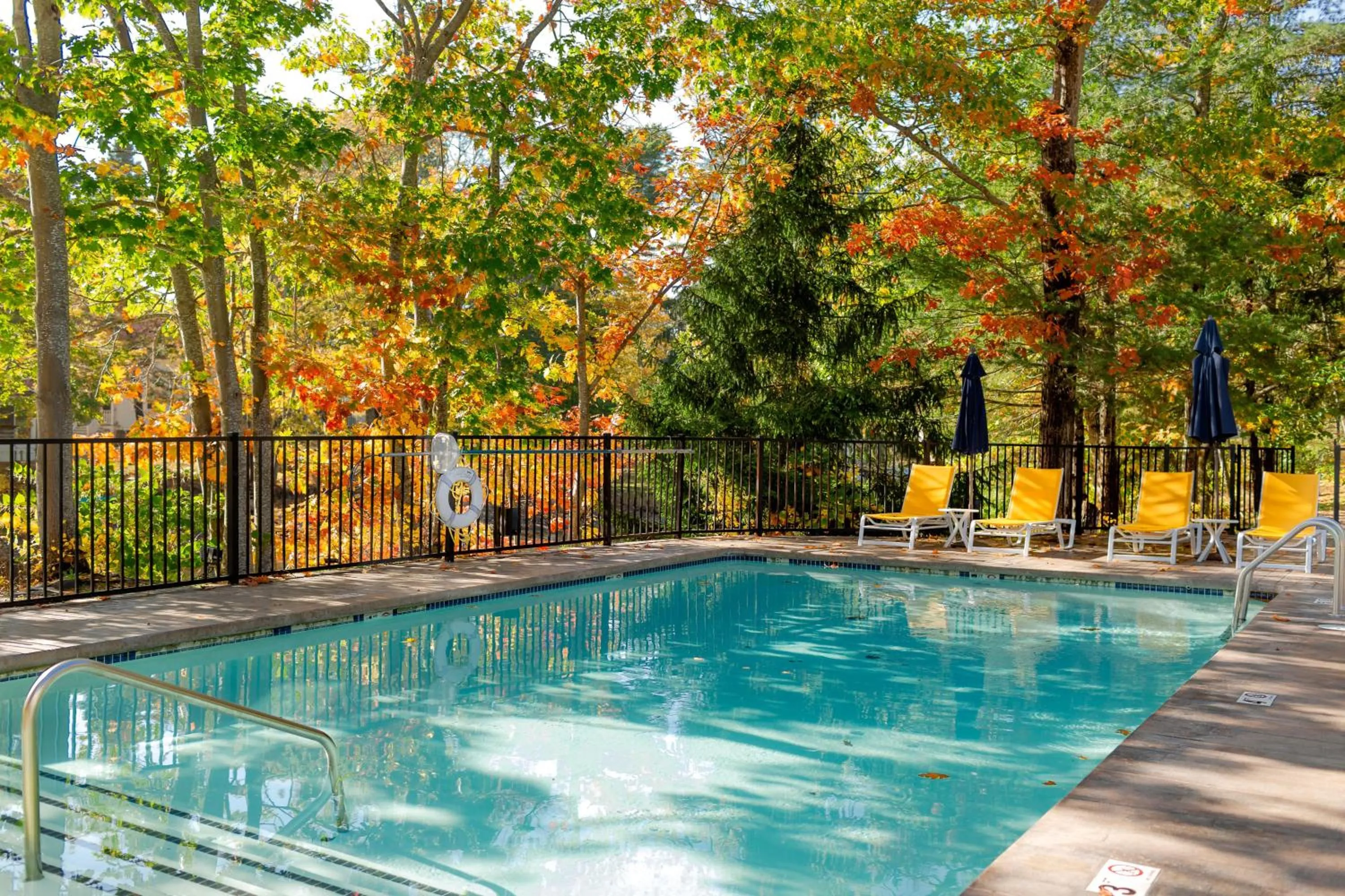 Pool view in The Lodge on the Cove