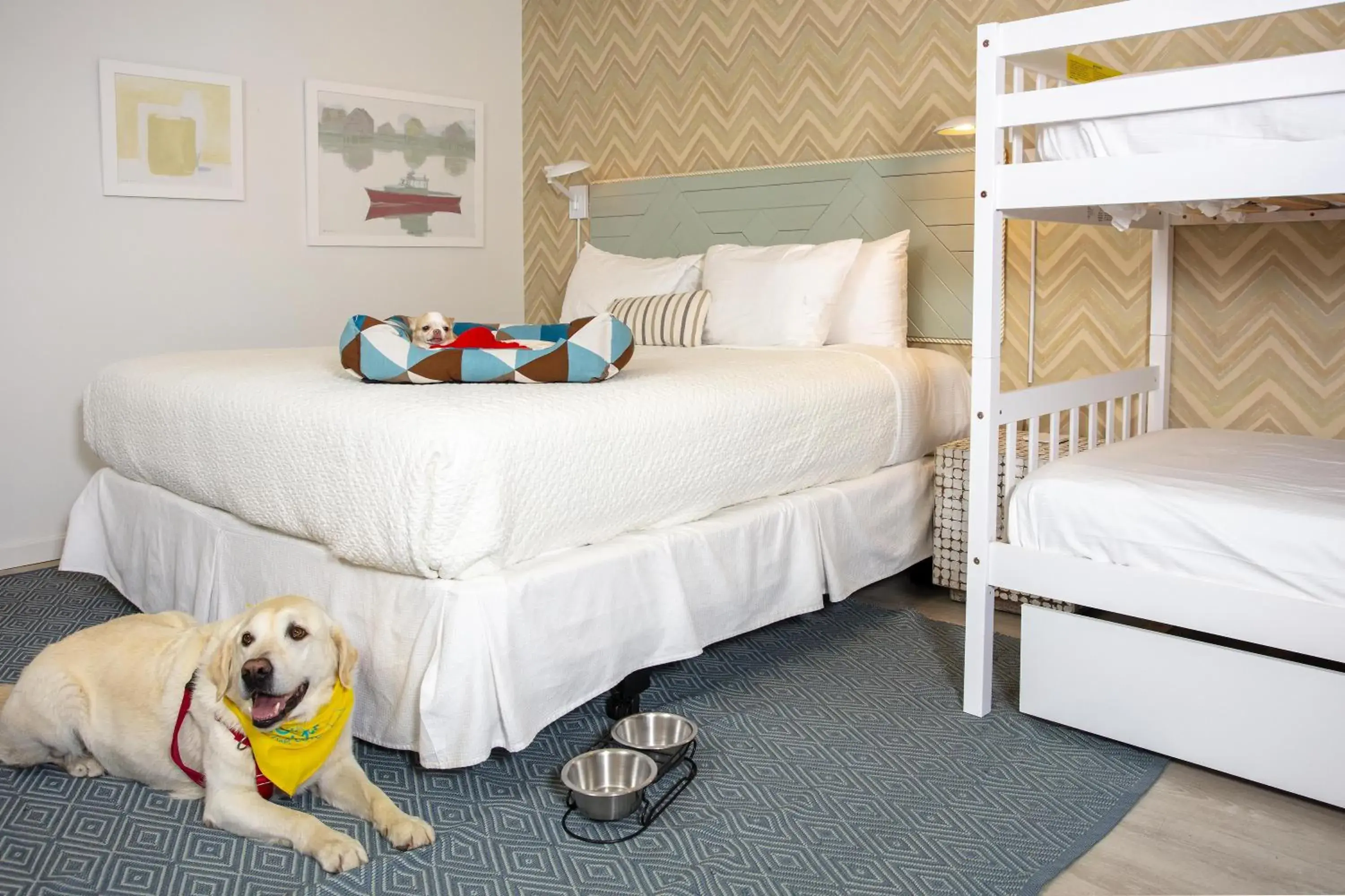 Cove King with Bunk Bed in The Lodge on the Cove Cove King with Bunk Bed in The Lodge on the Cove