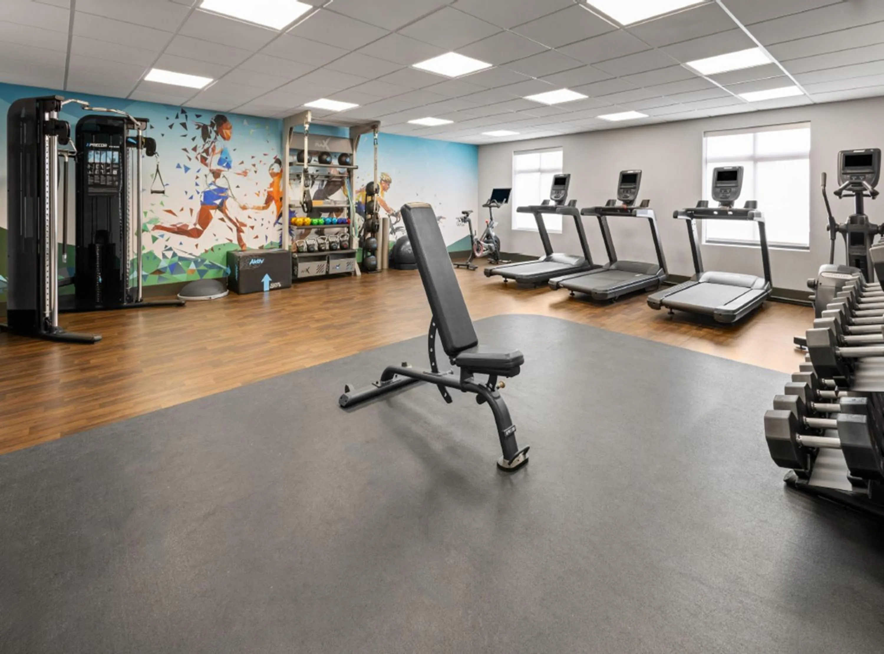 Fitness centre/facilities in Hampton Inn & Suites Richmond Glenside