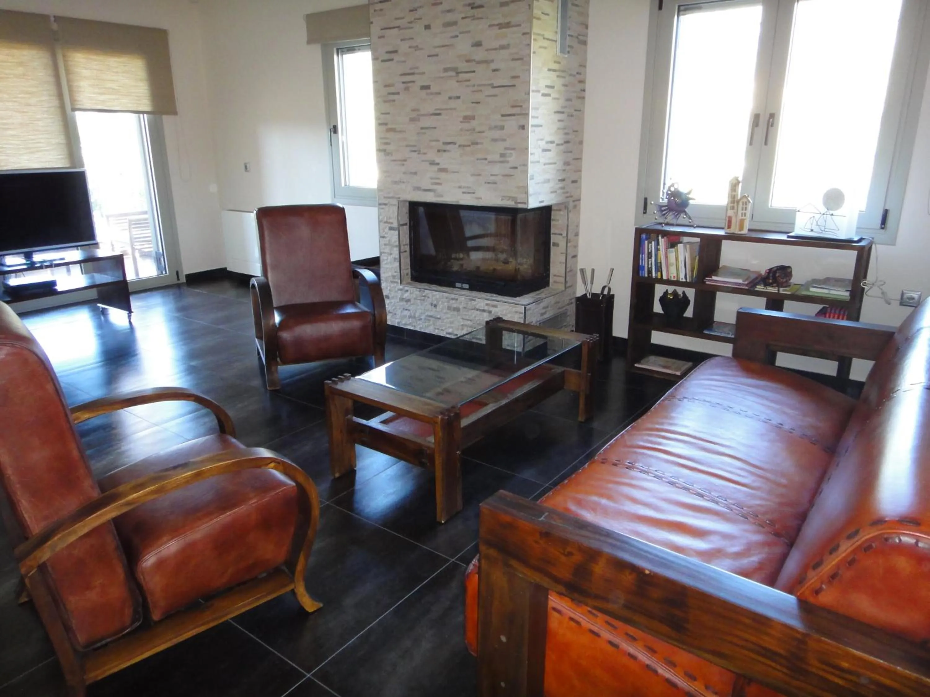 Library in Villa Lydia