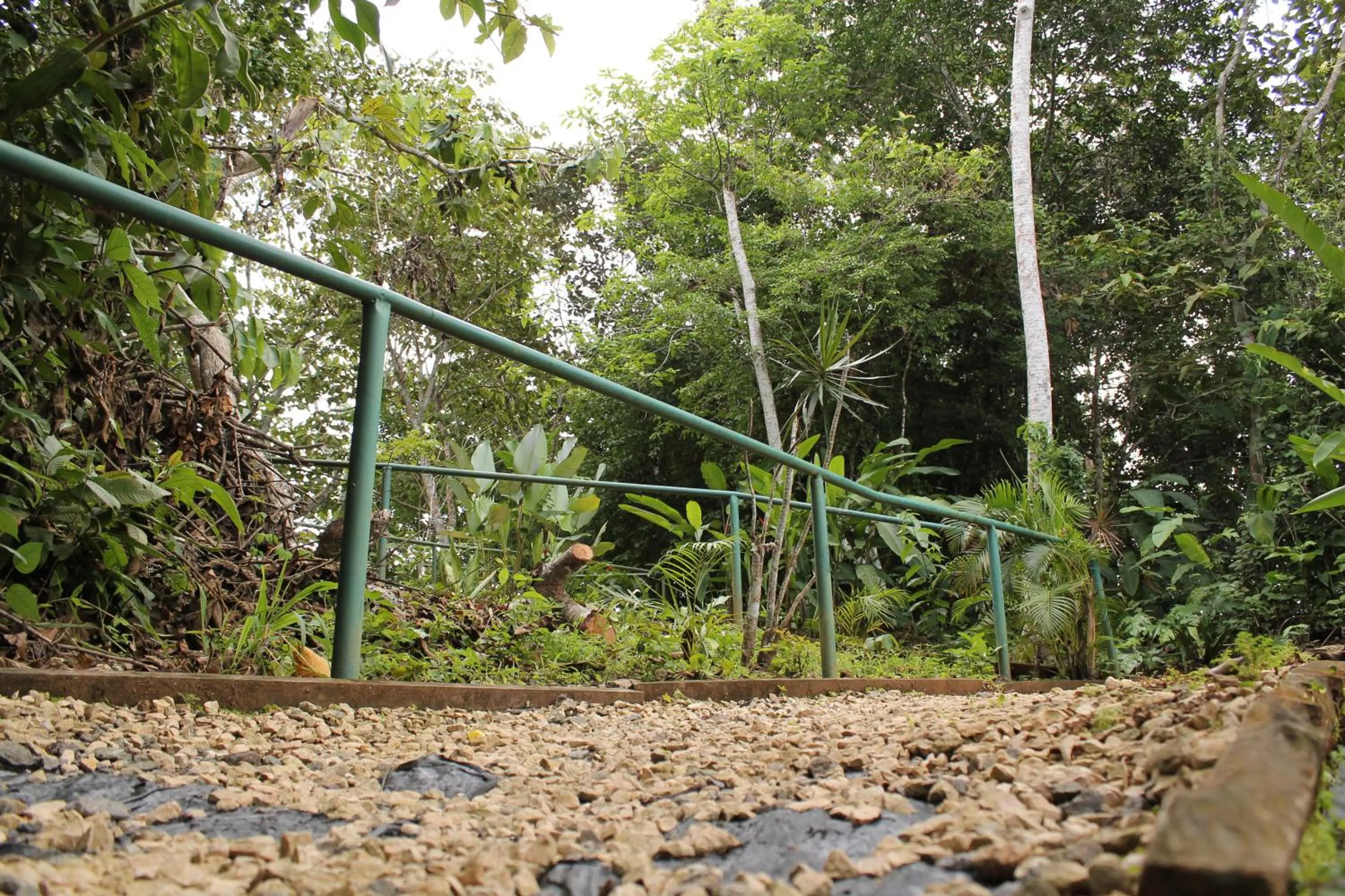 Activities in Summit Rainforest Golf Resort & All Inclusive