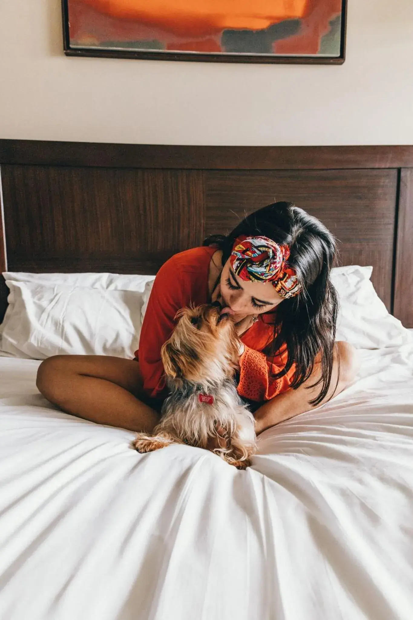 Pets, Bed in Summit Rainforest Golf Resort & All Inclusive Pets, Bed in Summit Rainforest Golf Resort & All Inclusive