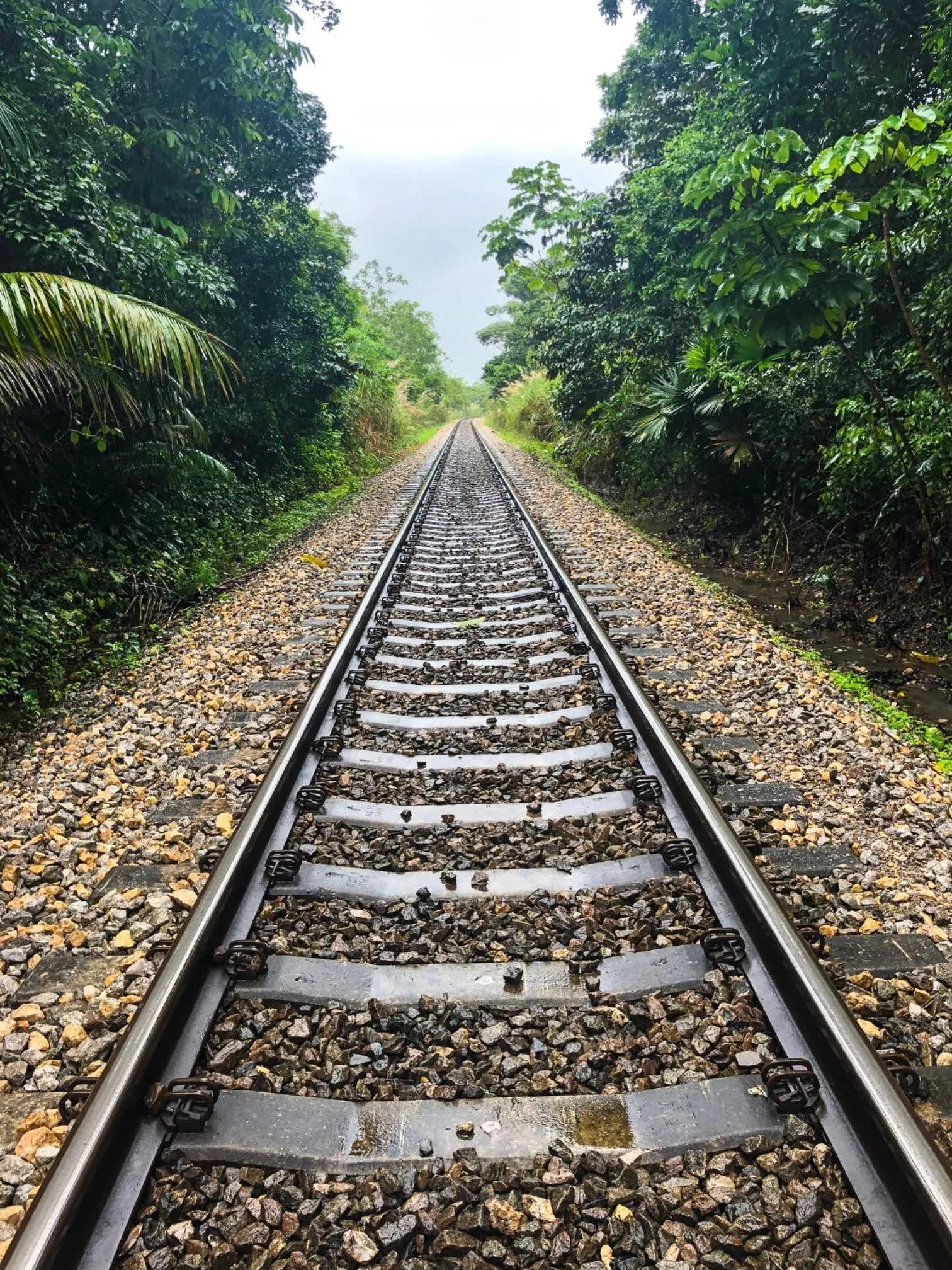 Location in Summit Rainforest Golf Resort & All Inclusive